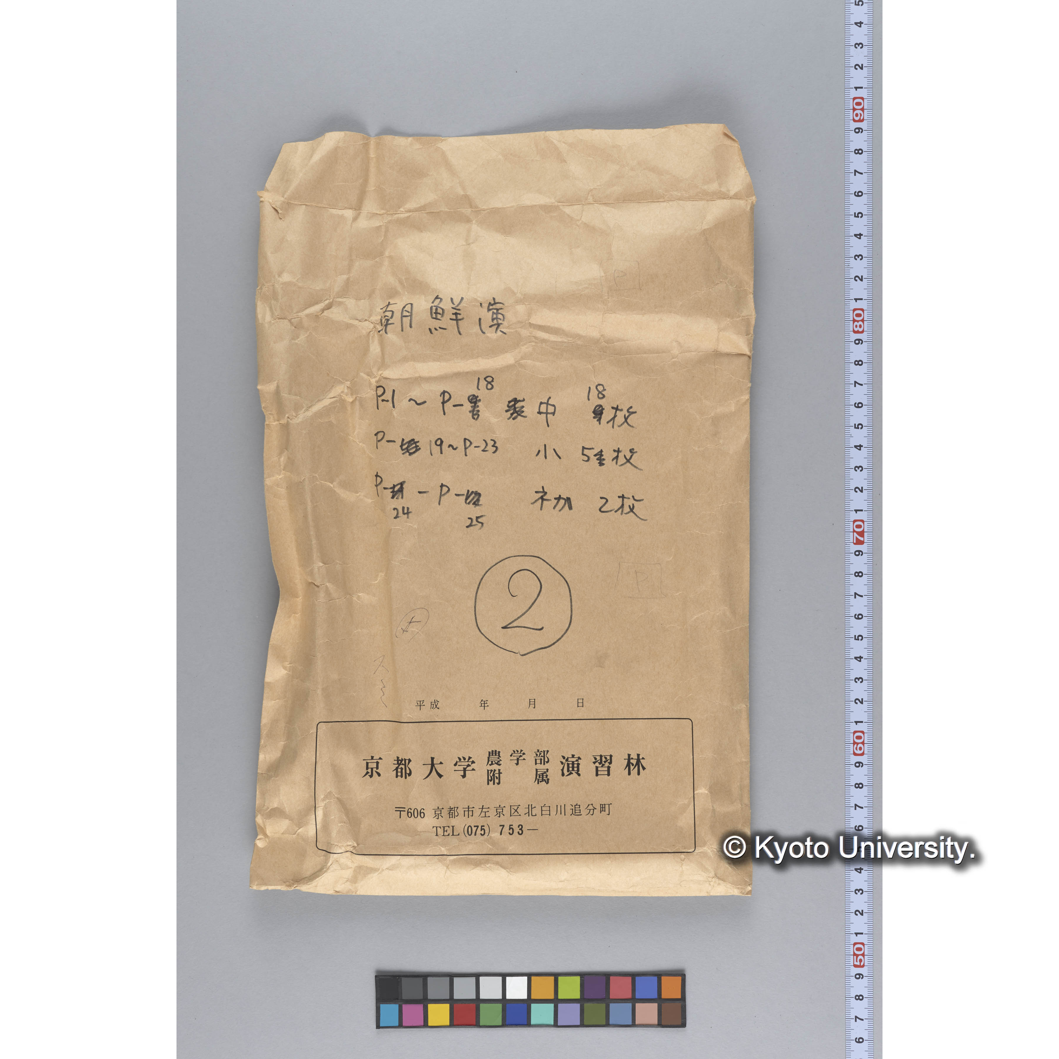 ガラス乾板P (40)