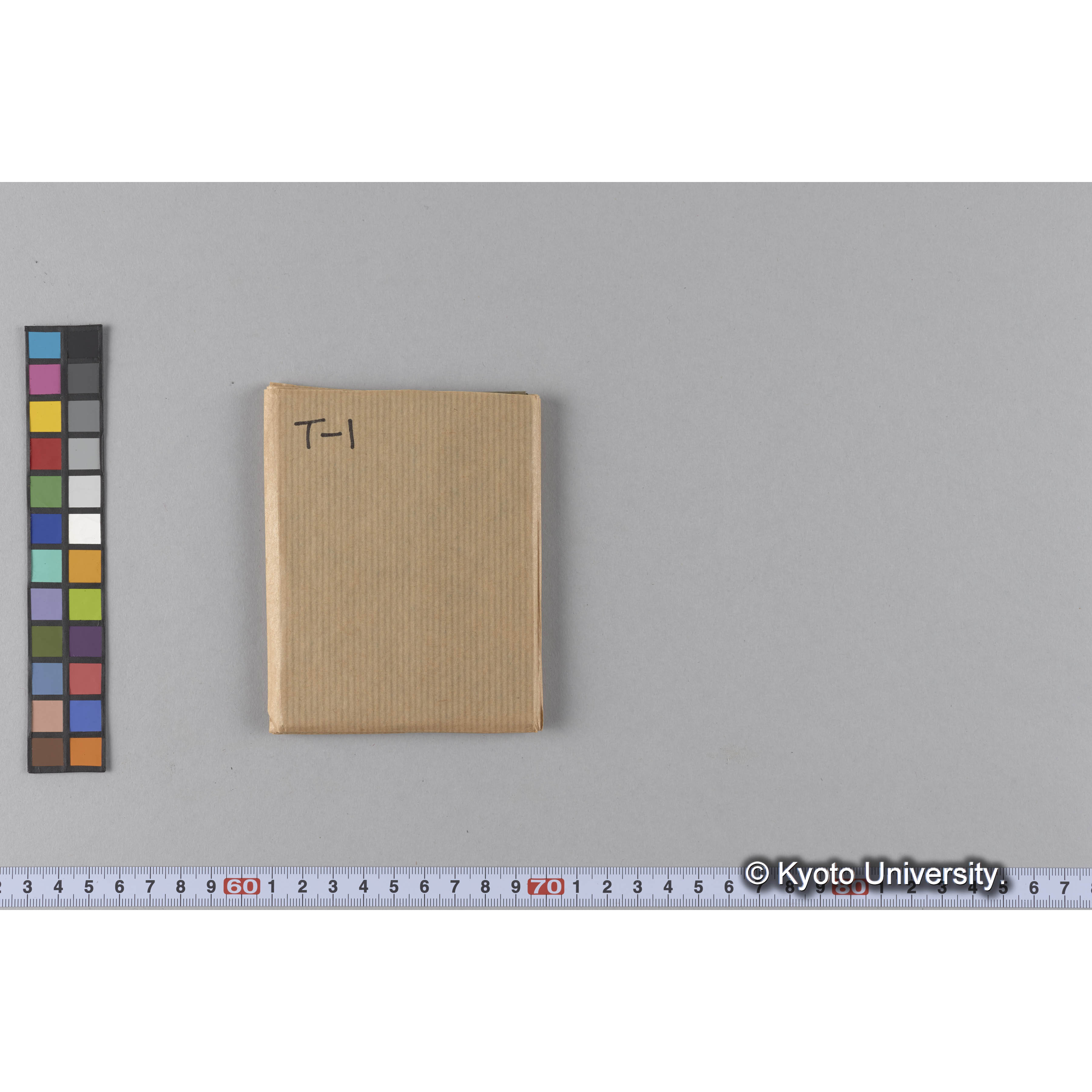 ガラス乾板T (2)