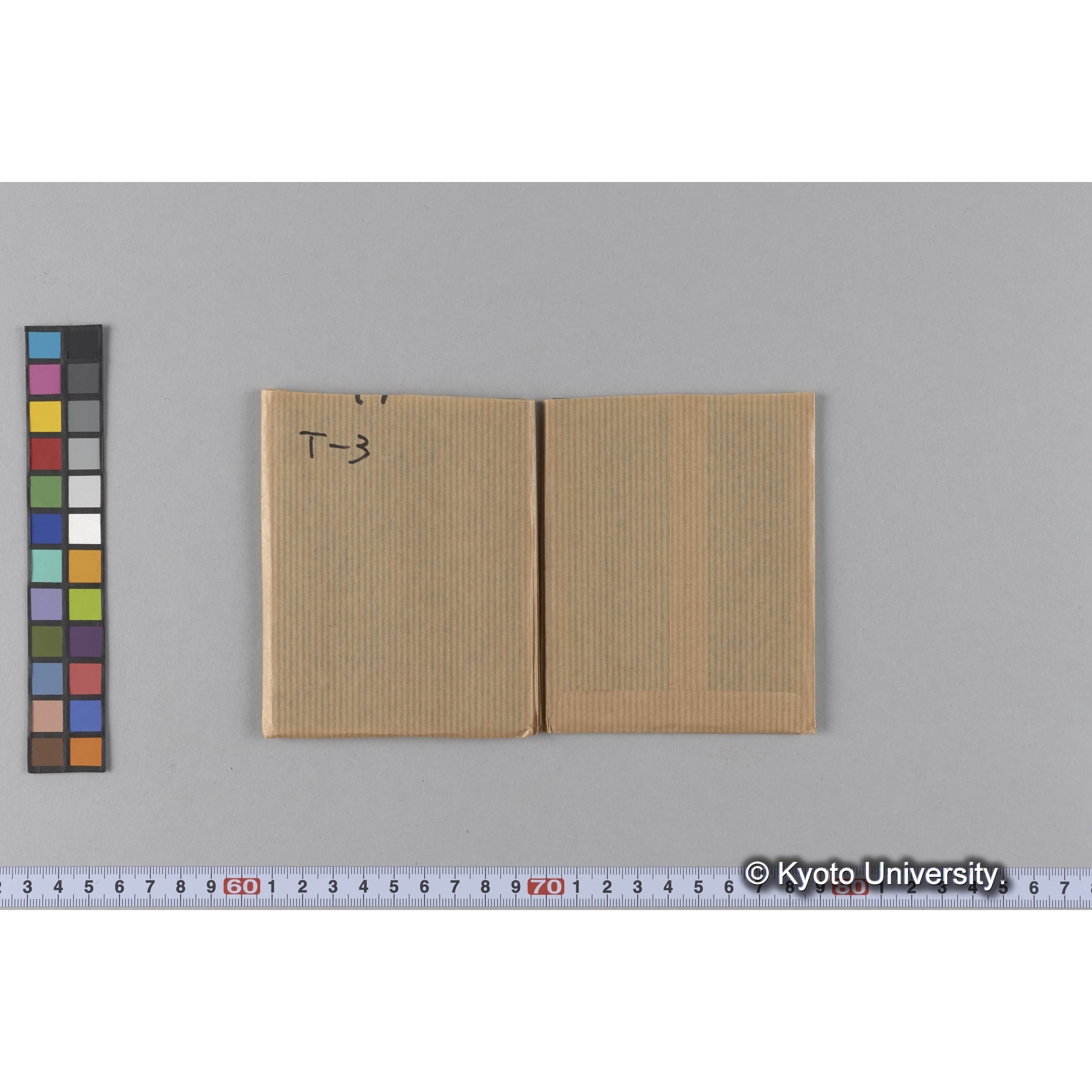 ガラス乾板T (5)