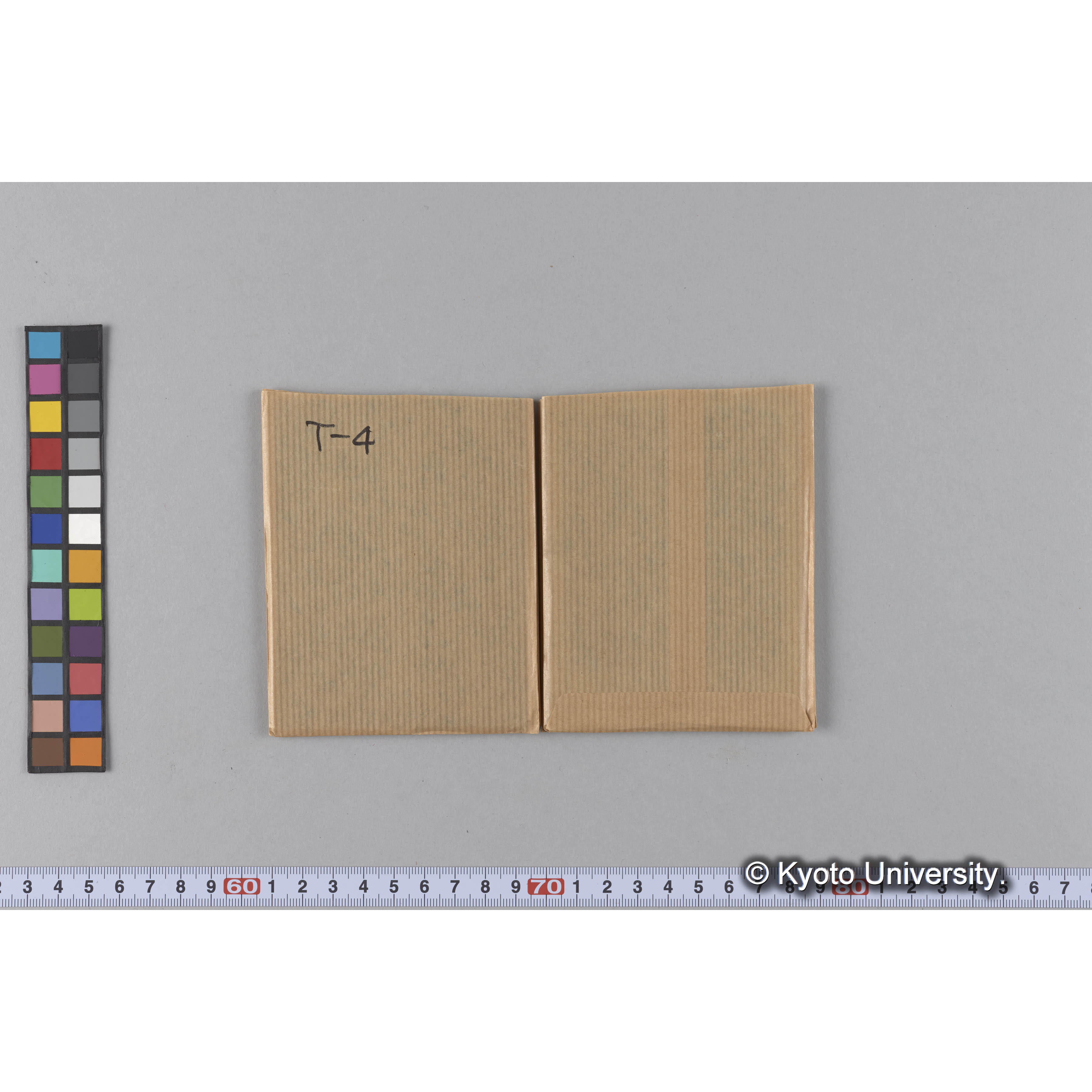 ガラス乾板T (6)