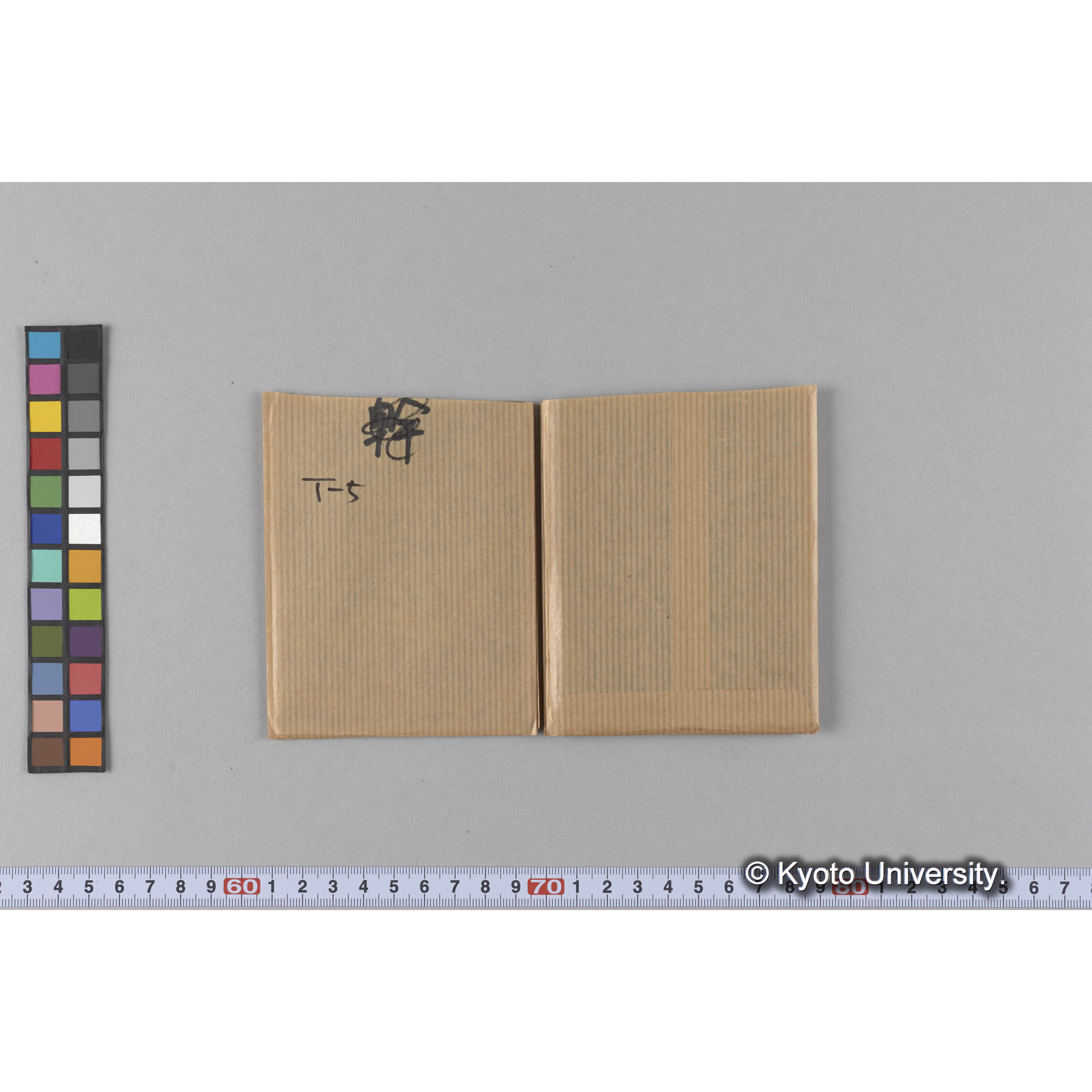 ガラス乾板T (7)