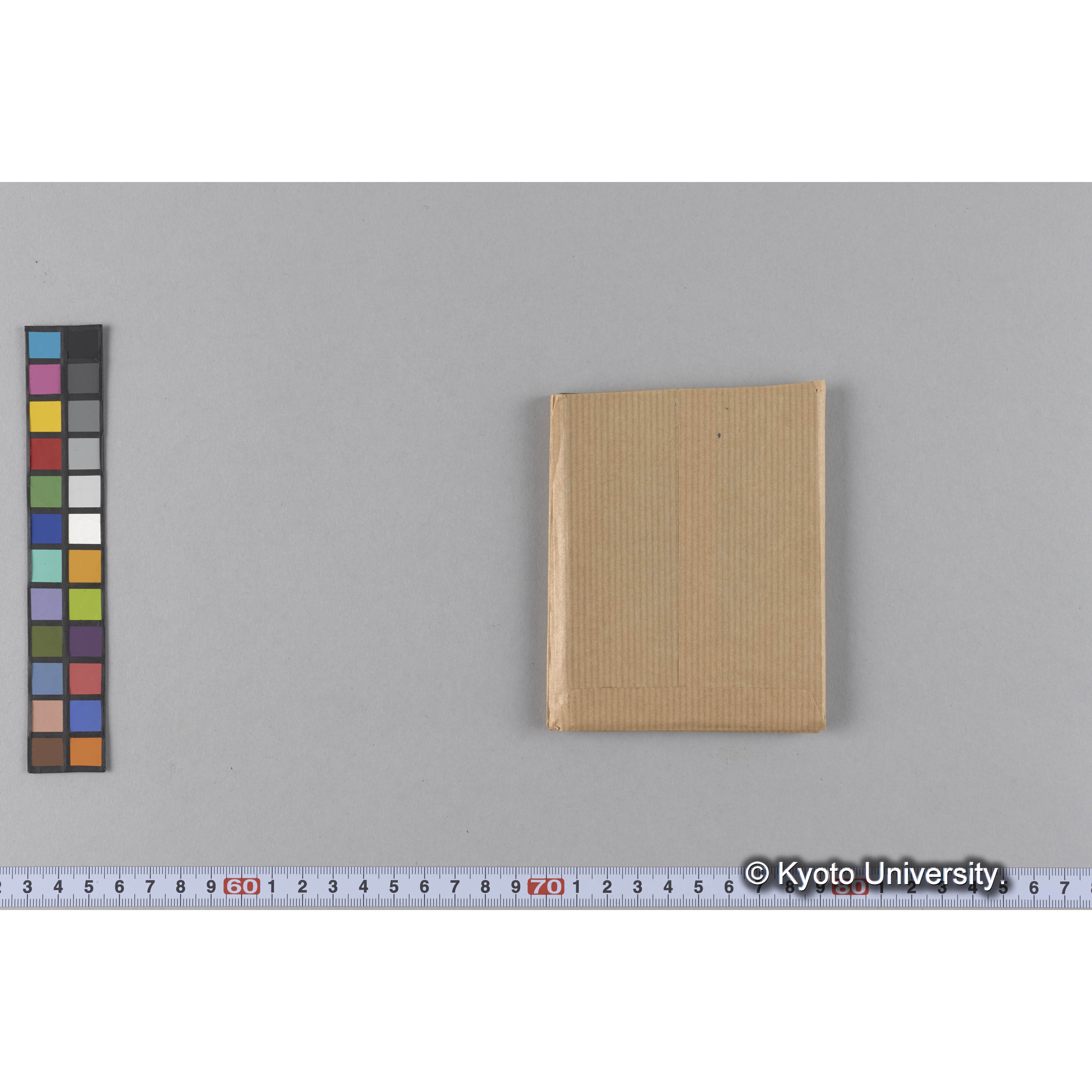 ガラス乾板T (9)