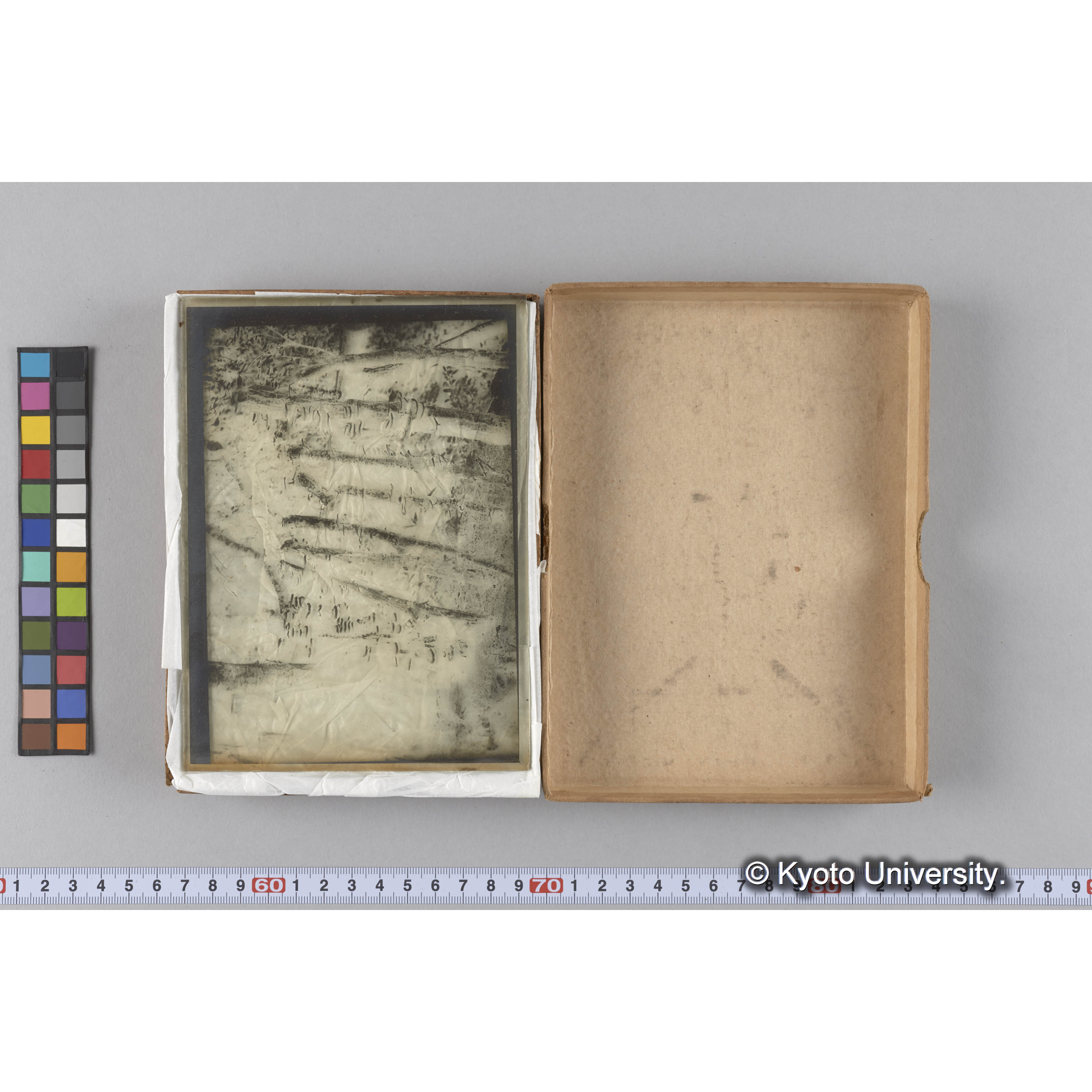 ガラス乾板雑1 (4)