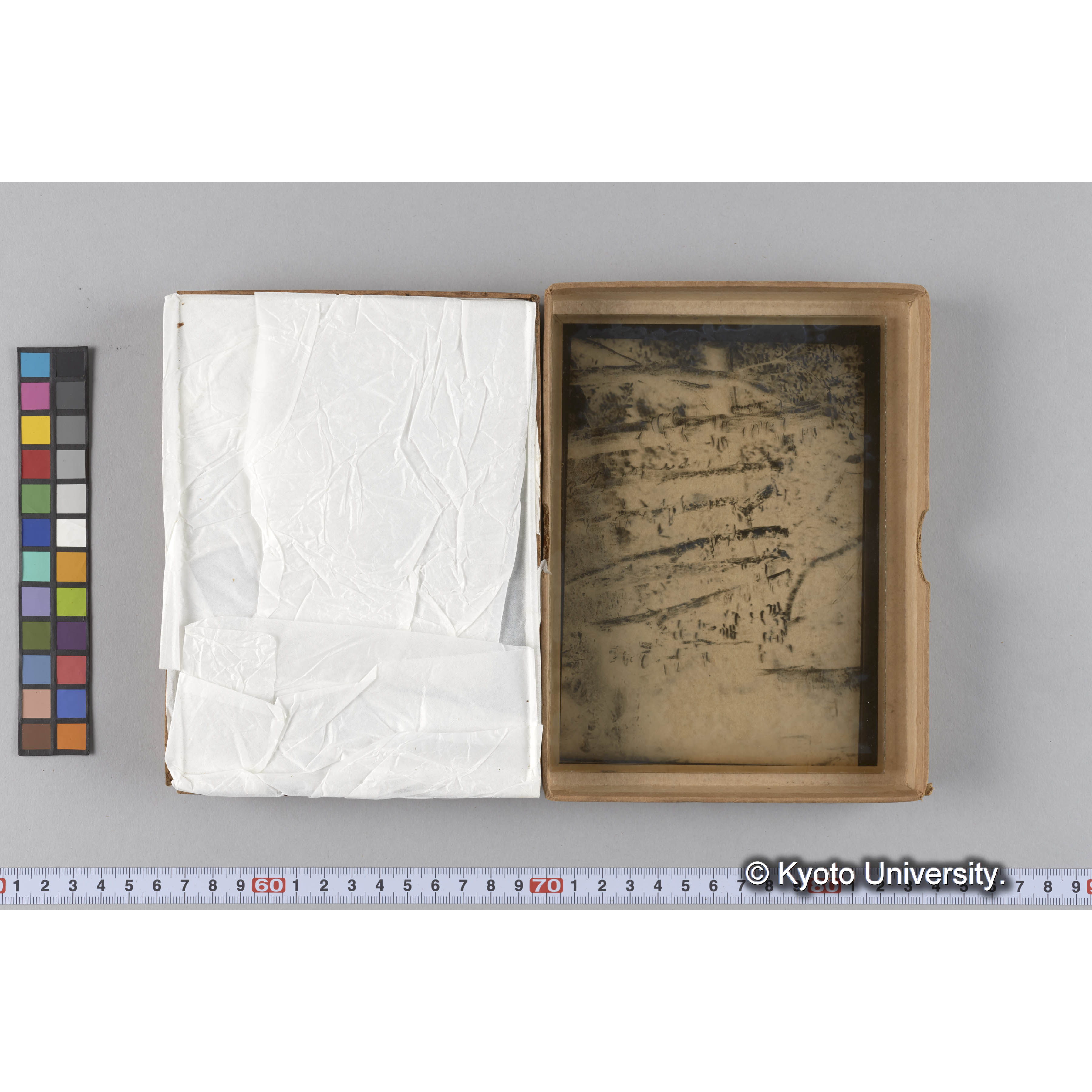 ガラス乾板雑1 (5)