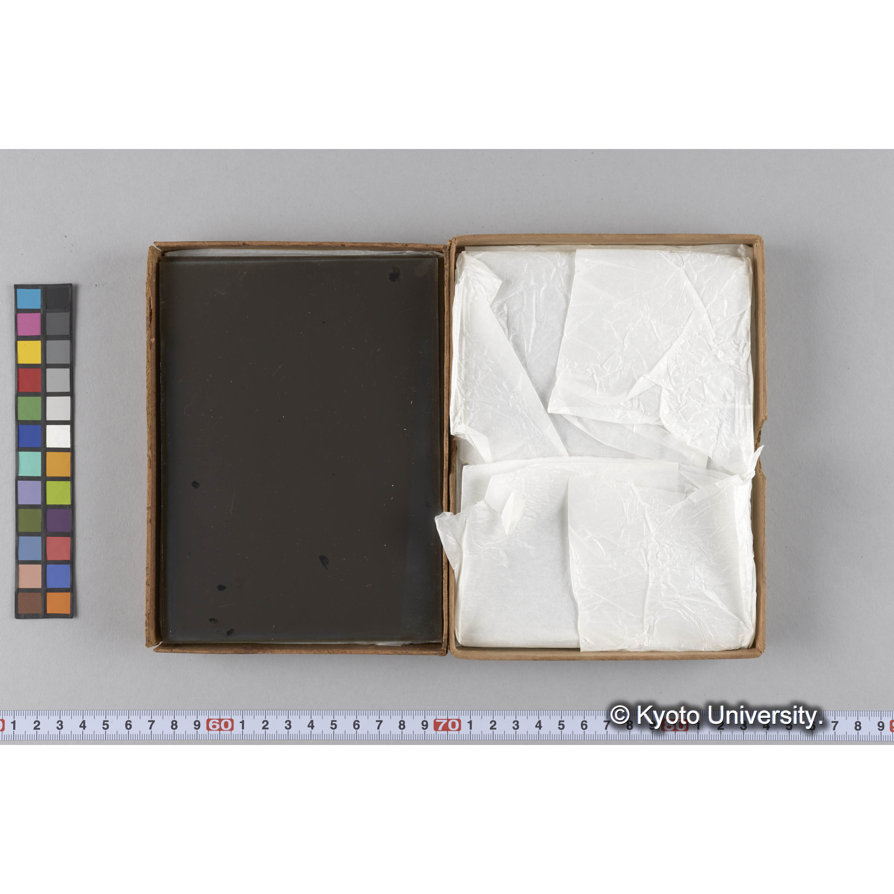 ガラス乾板雑1 (7)