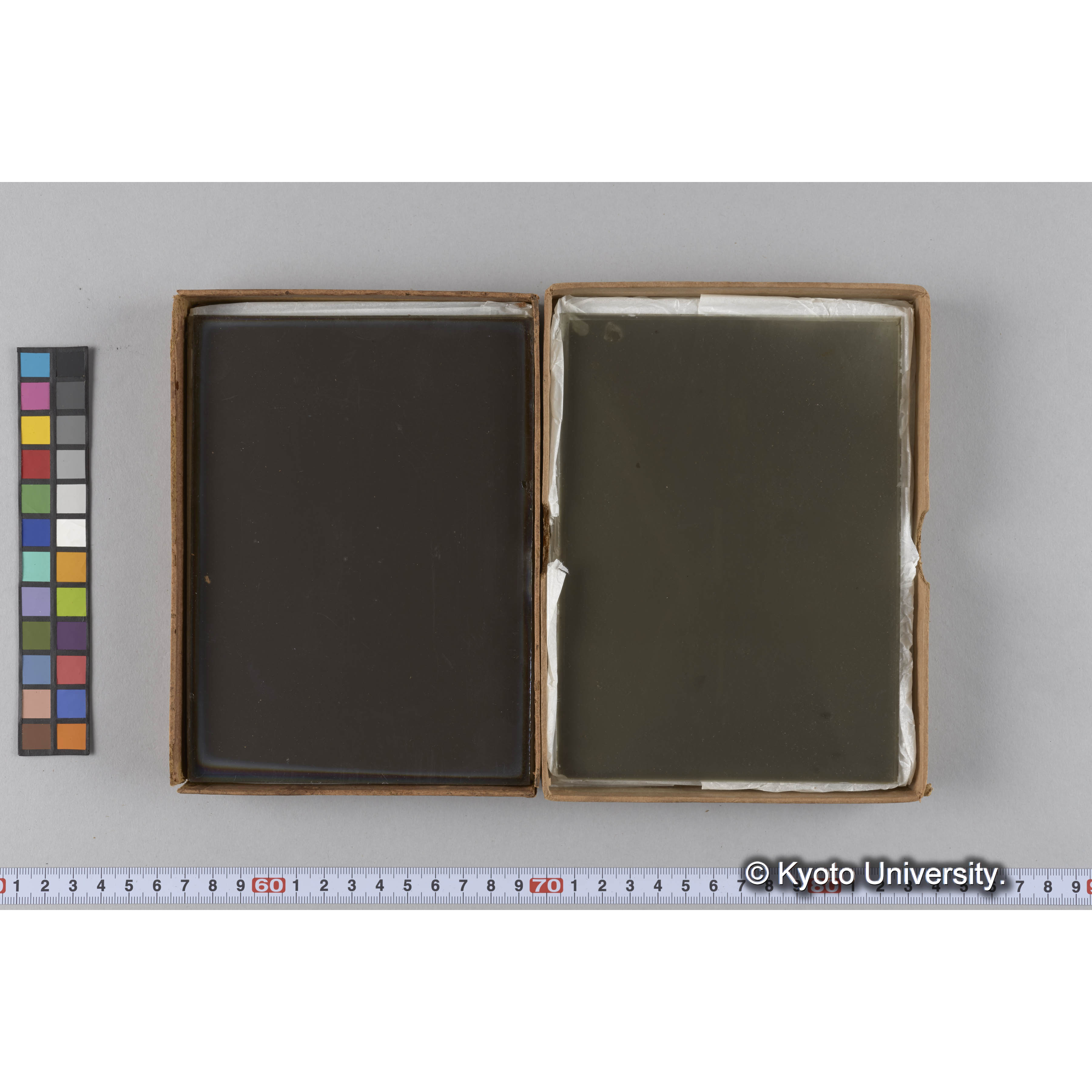 ガラス乾板雑1 (8)