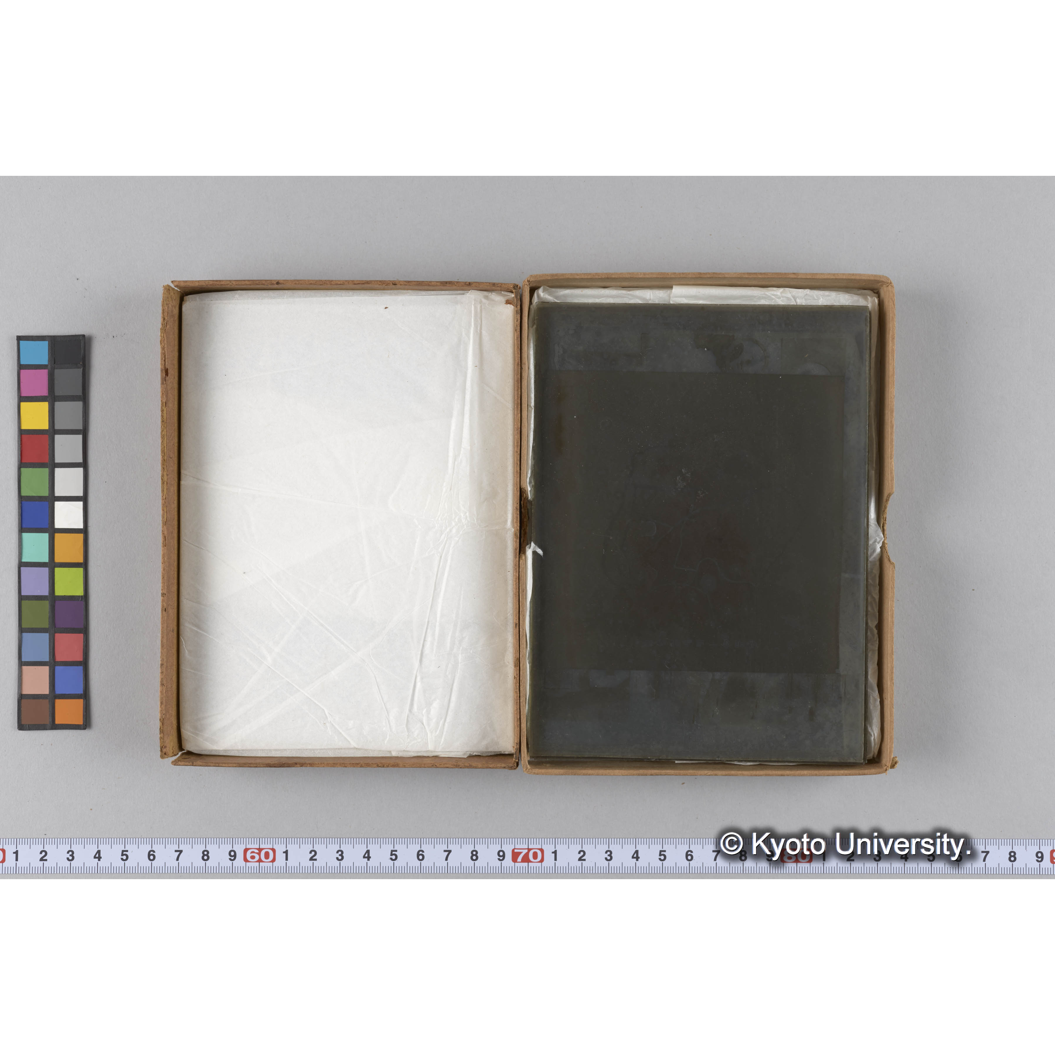 ガラス乾板雑1 (11)