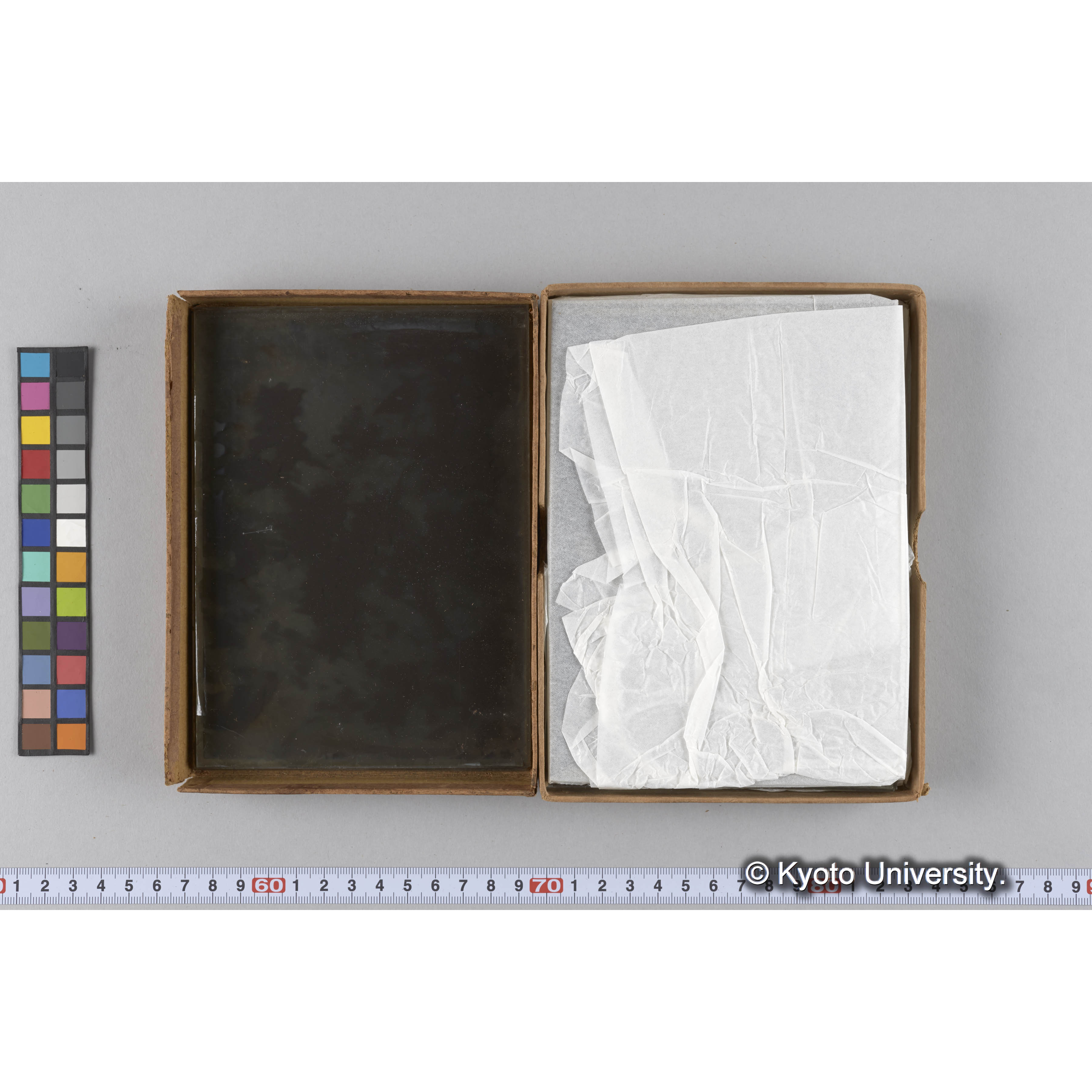 ガラス乾板雑1 (12)