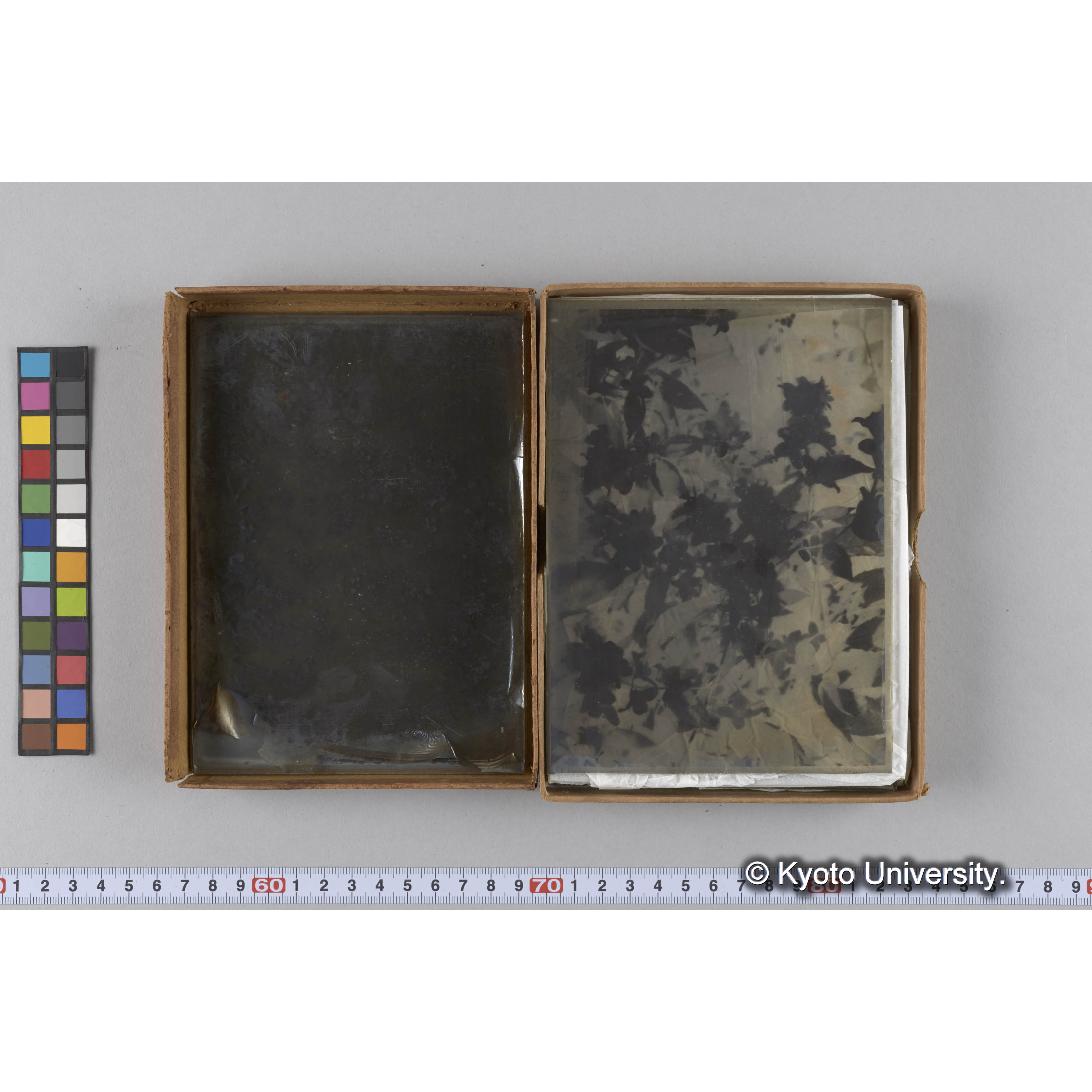 ガラス乾板雑1 (13)