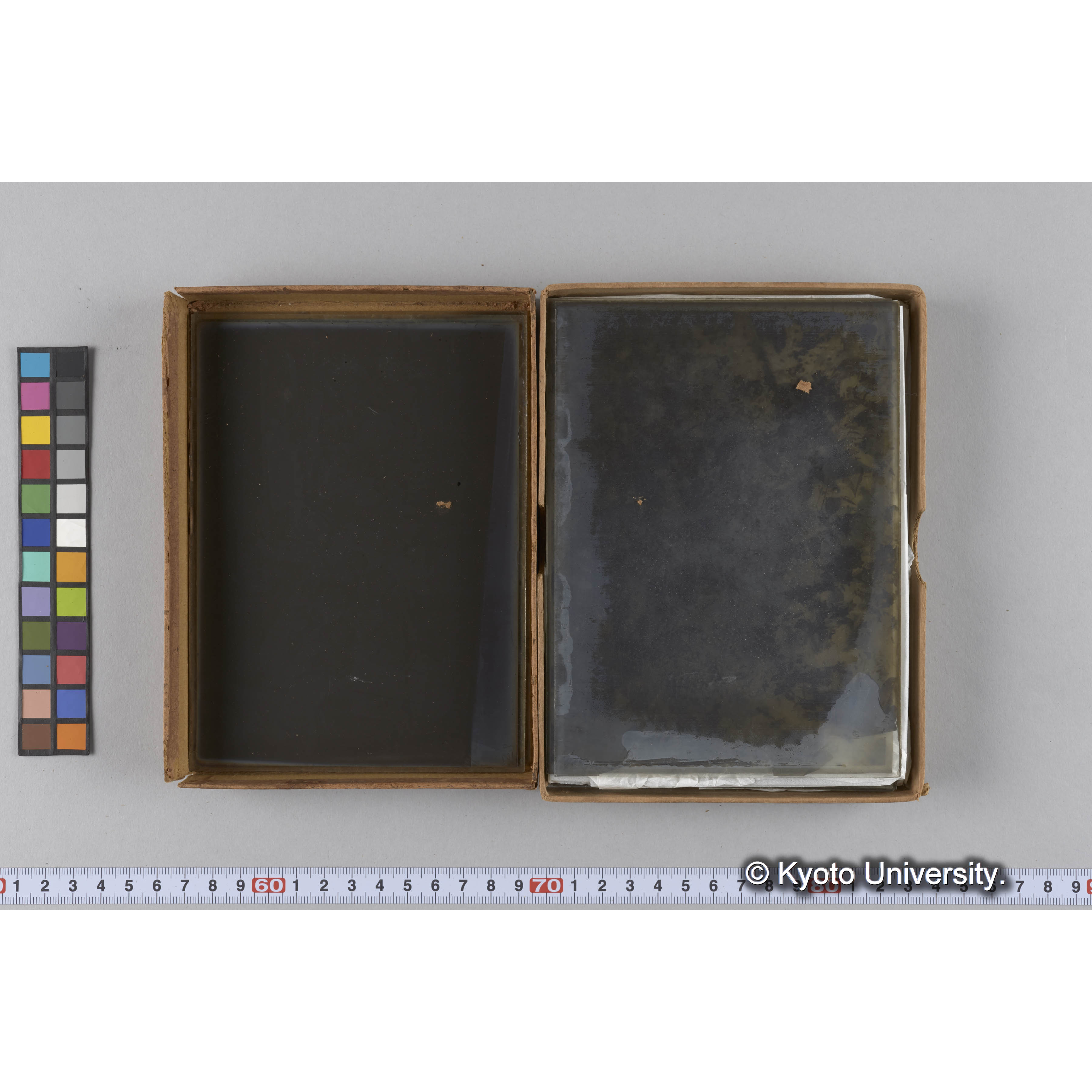 ガラス乾板雑1 (14)