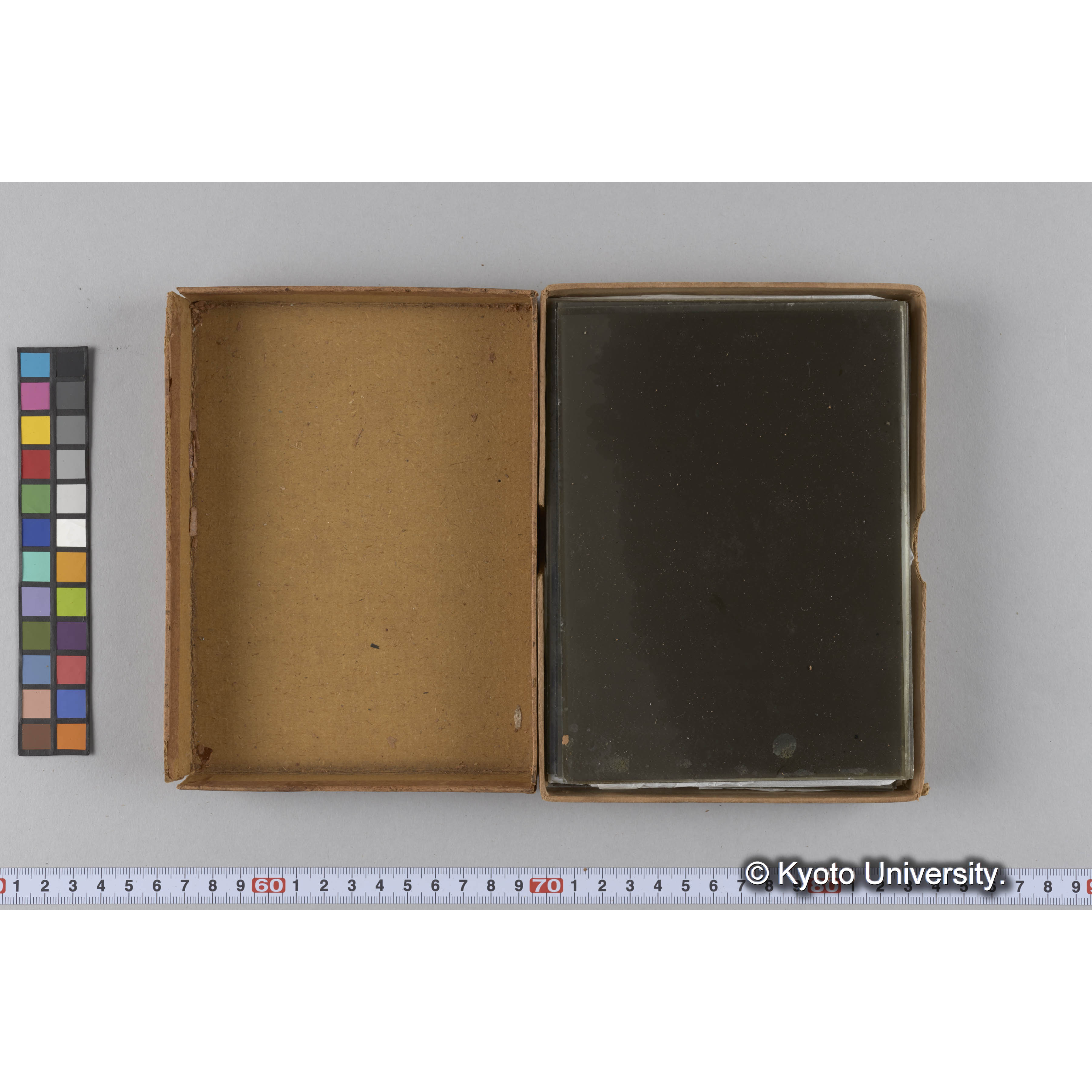 ガラス乾板雑1 (16)