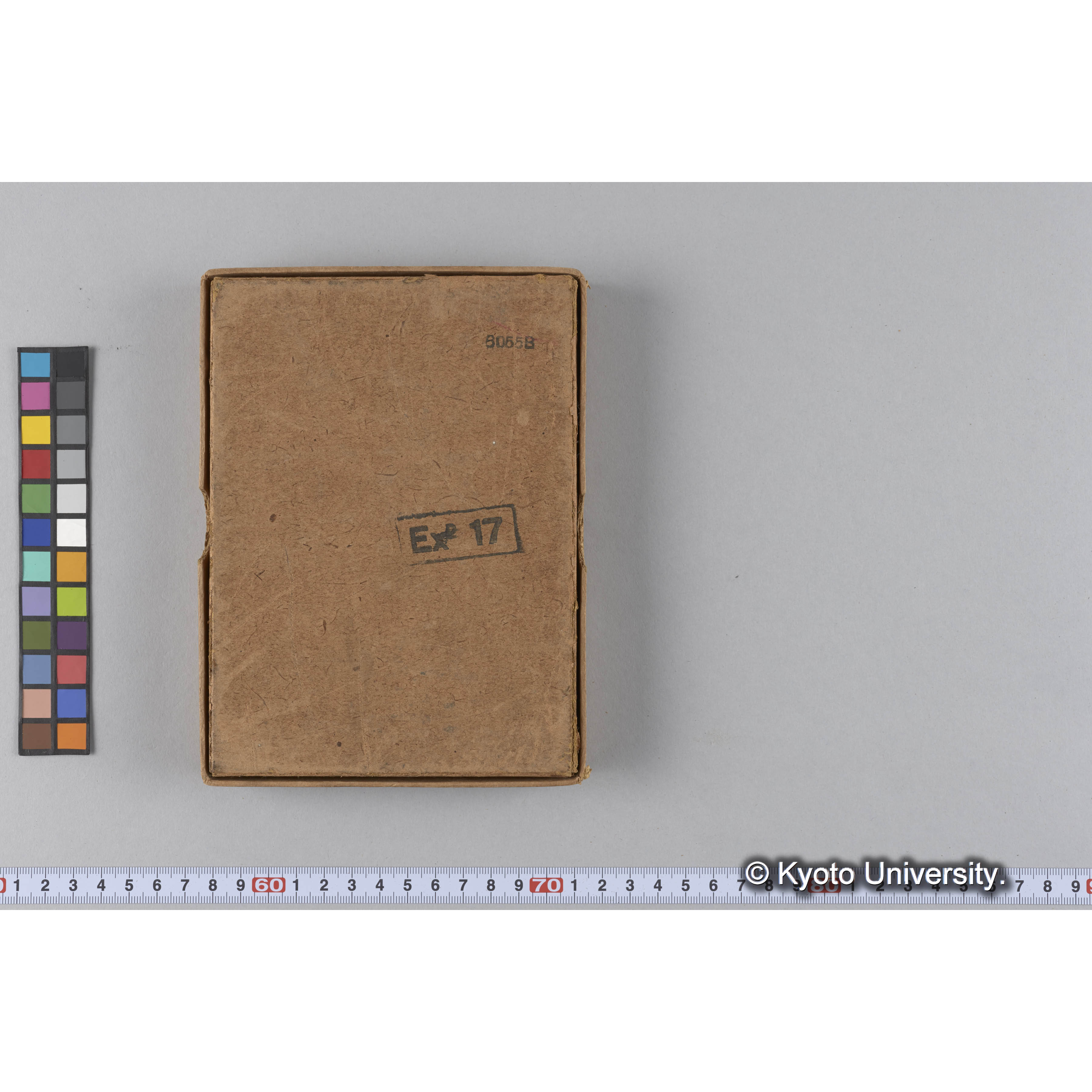 ガラス乾板雑1 (17)