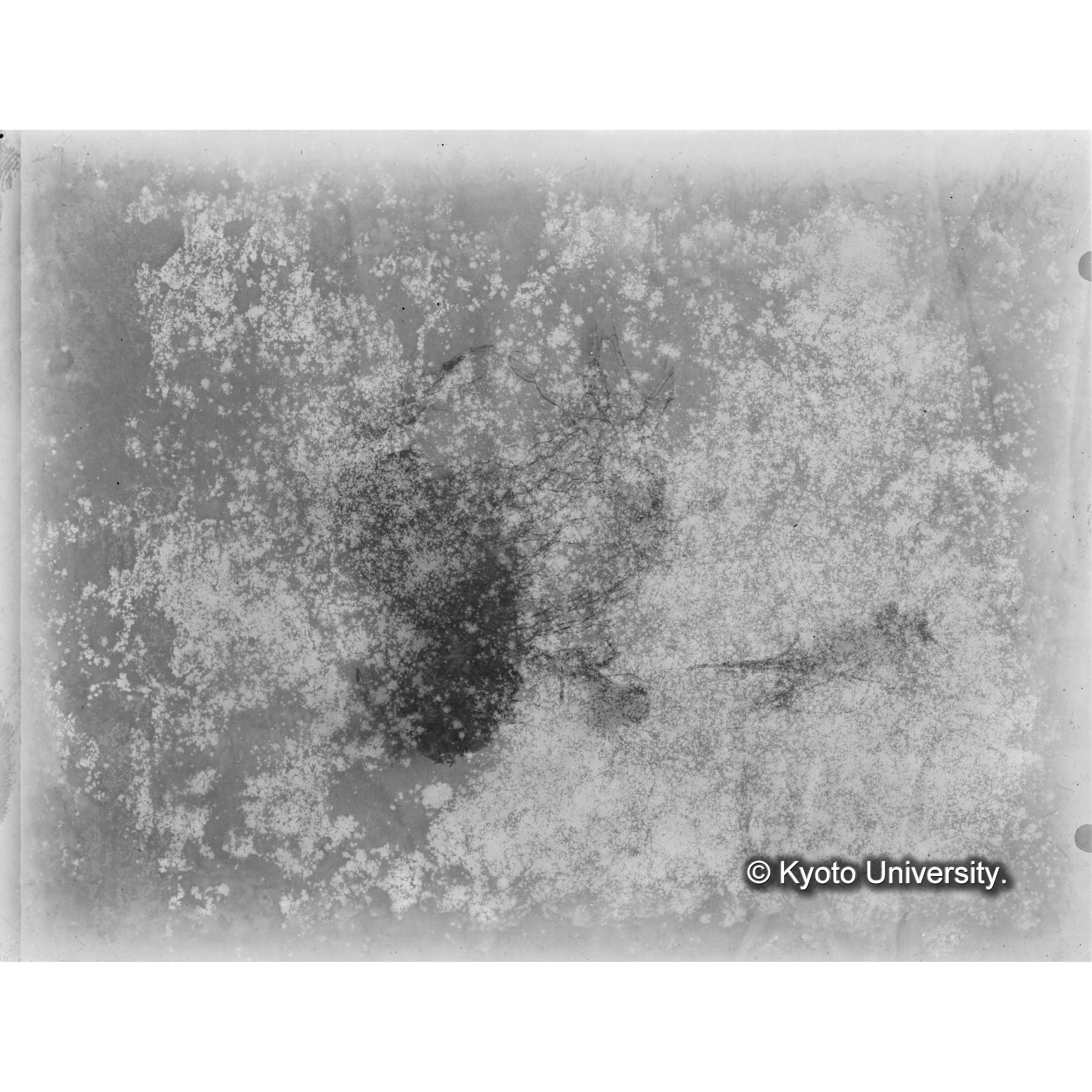 （ガラス乾板A-04） (1)