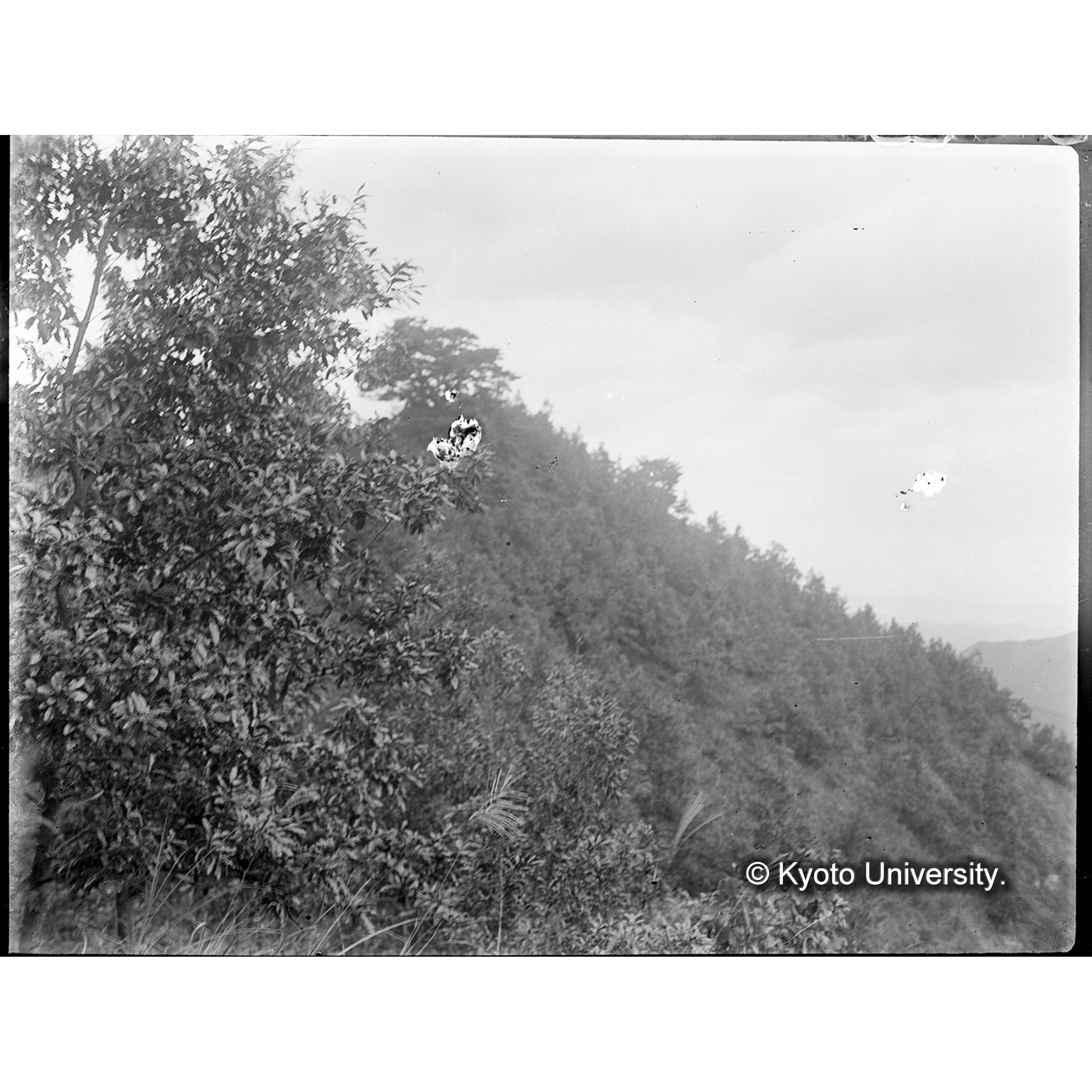 （ガラス乾板B-13） (1)