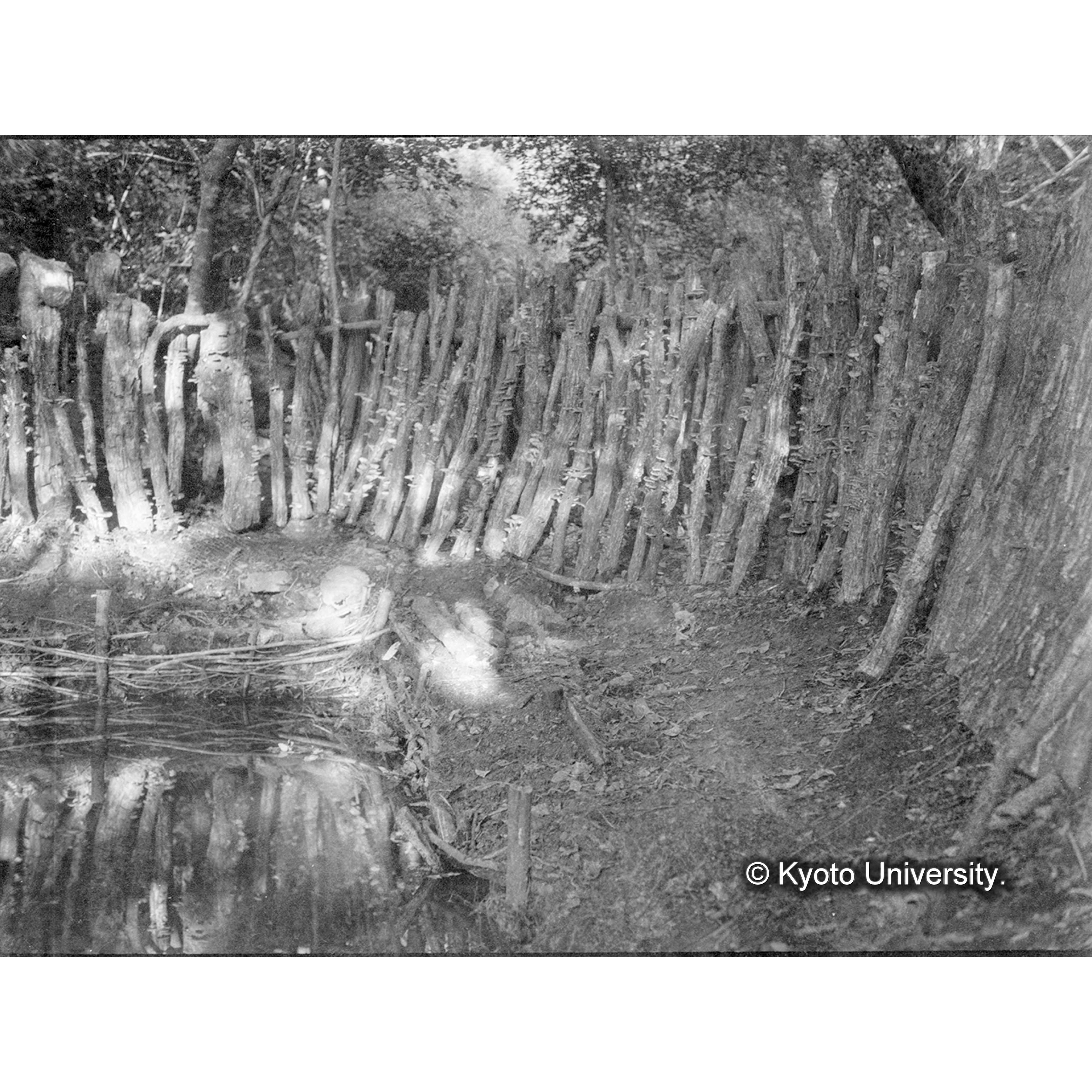 （ガラス乾板B-25） (1)