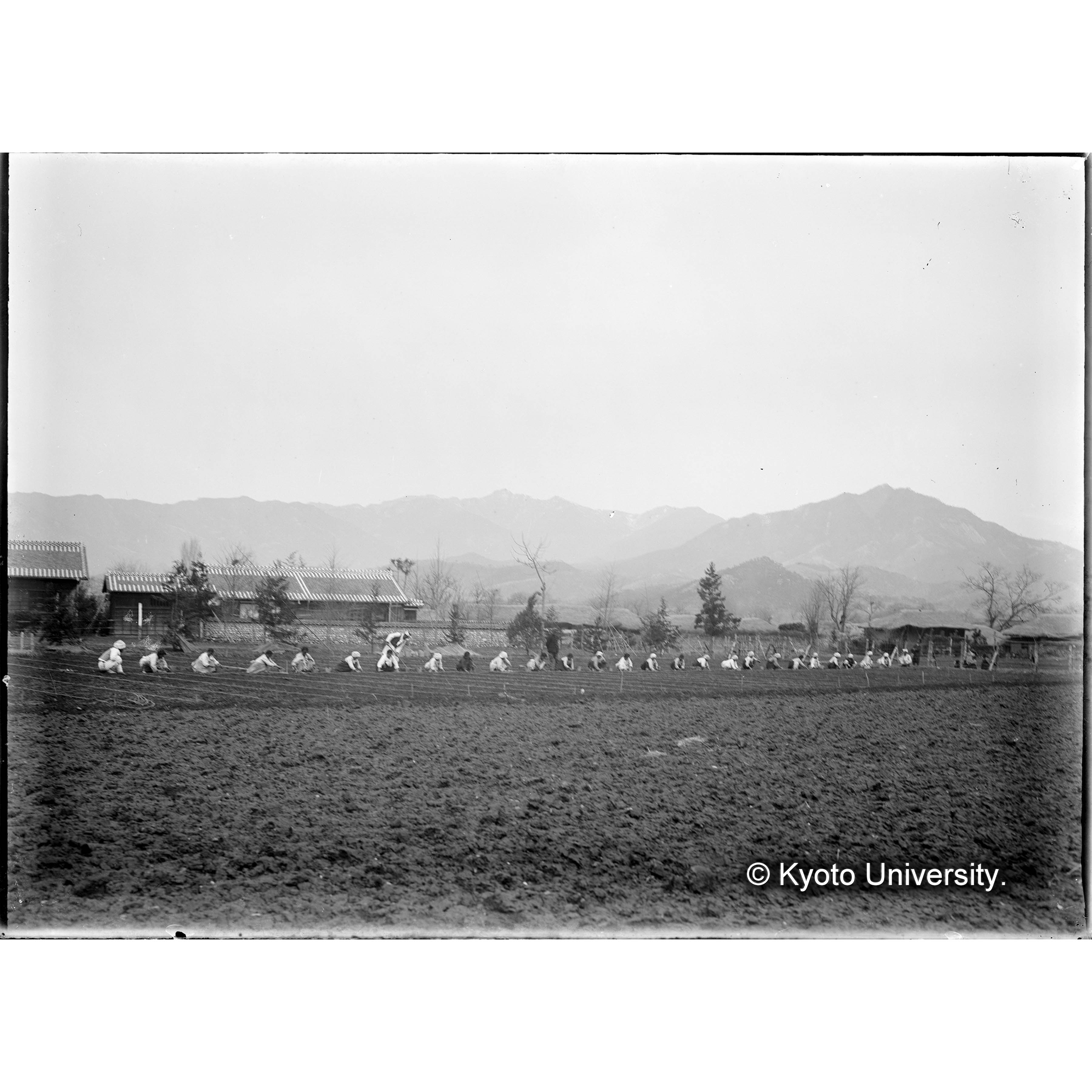 ＜朝鮮演習林咸陽苗圃＞ (1)