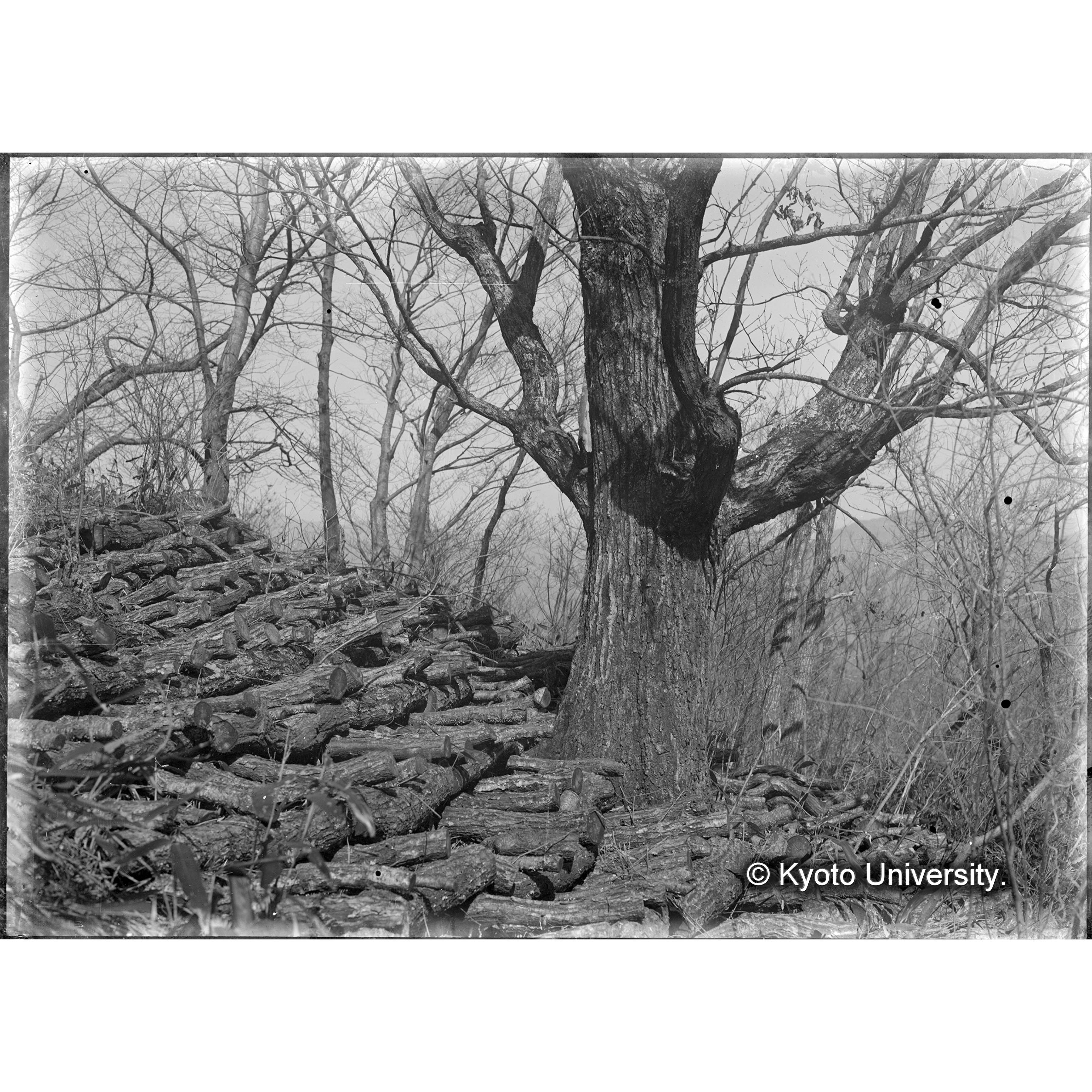 （ガラス乾板朝鮮1-11） (1)