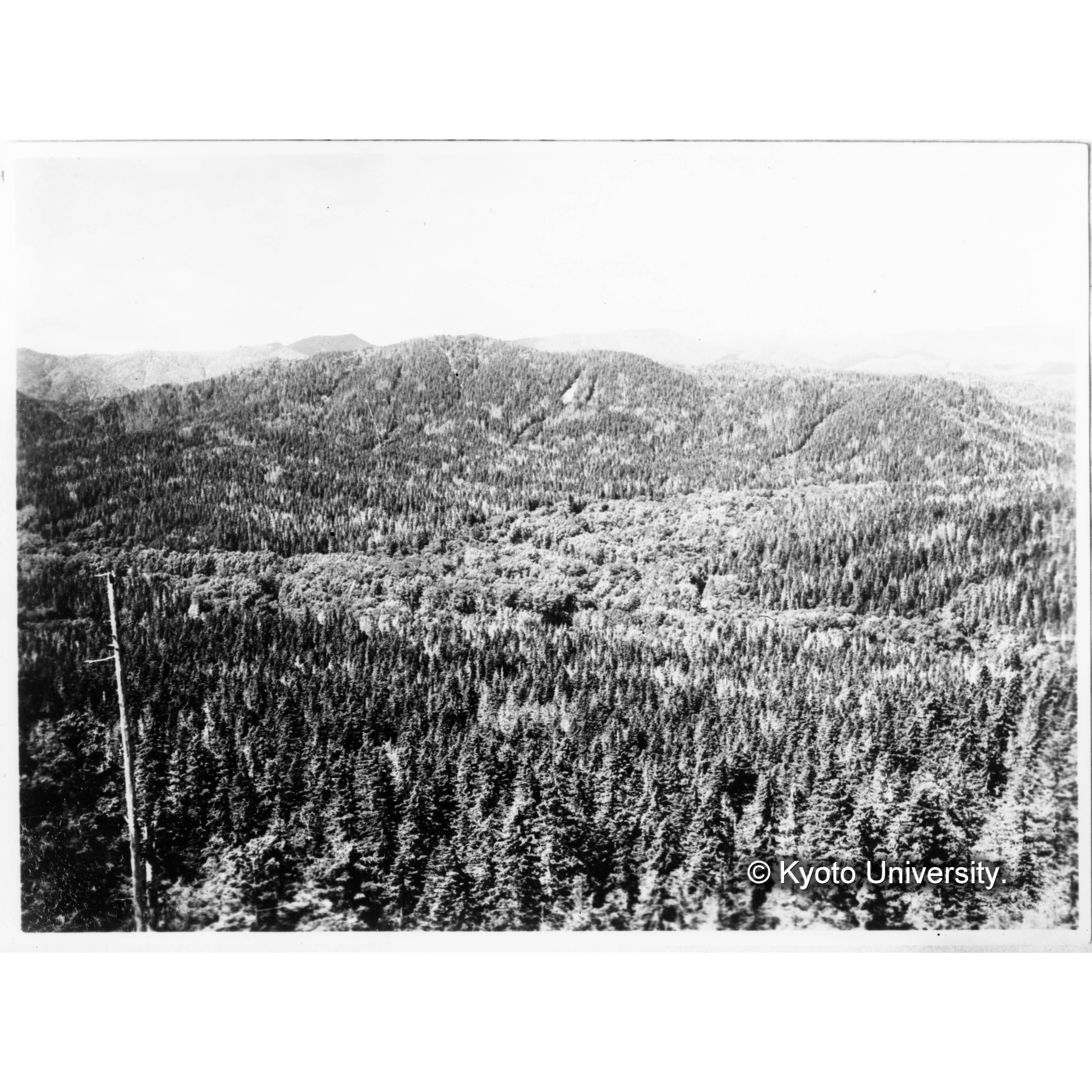 見晴台より見たるトラ川、キバラリ川合流点付近の林相 (2)