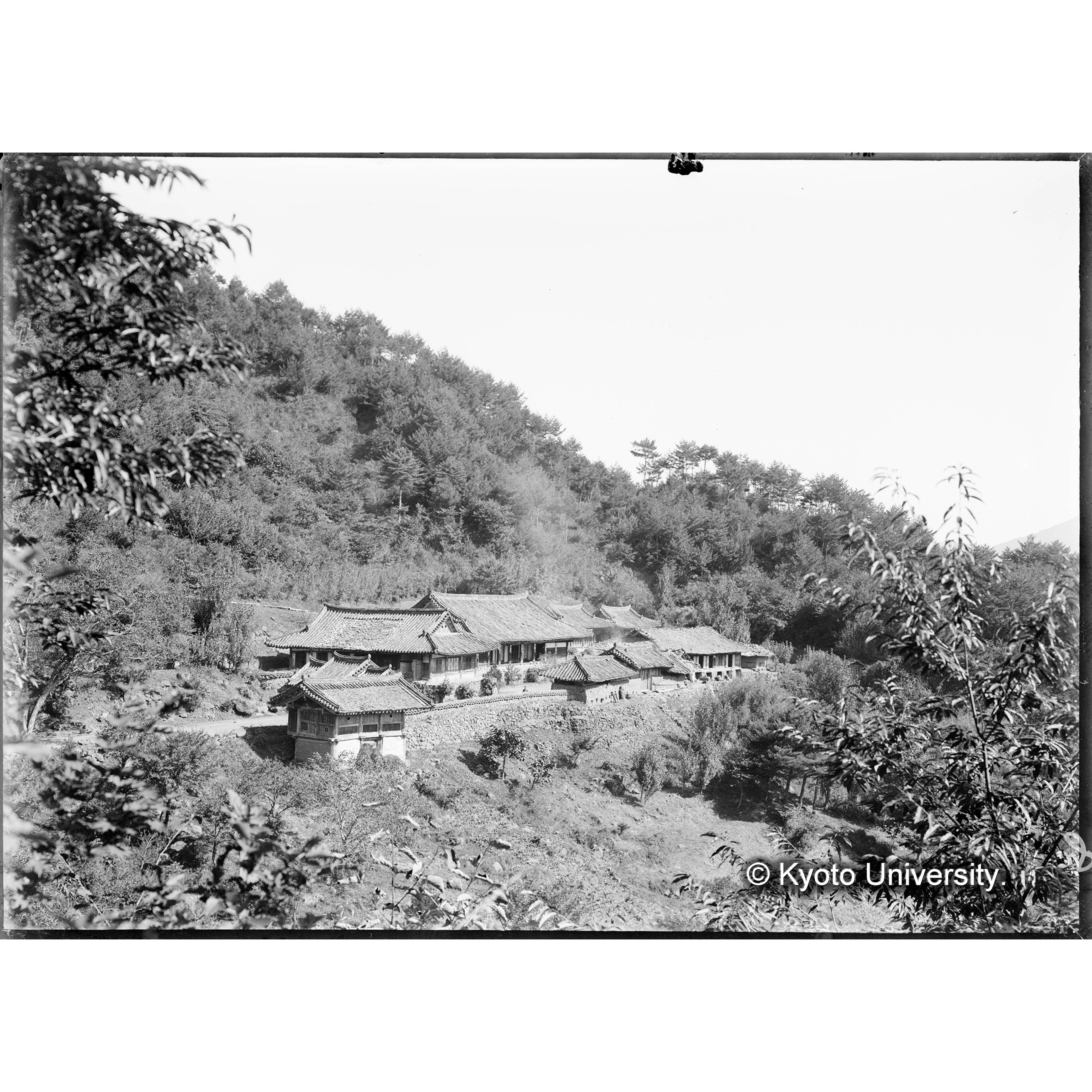 霊源寺(事業区Ⅱ林班26付近) (1)