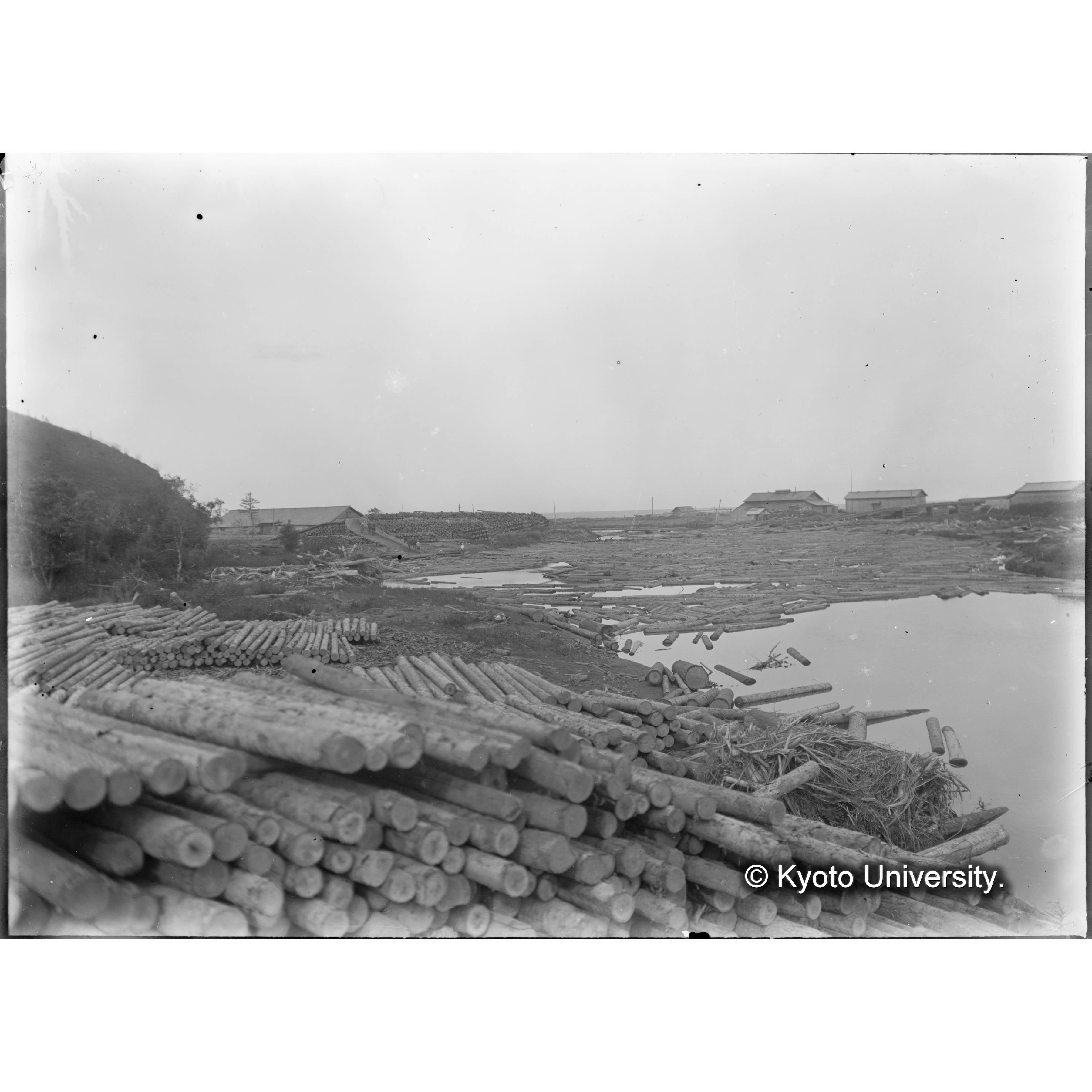 樺太古丹岸河口に於ける本学演習林材山積の光景 (1)