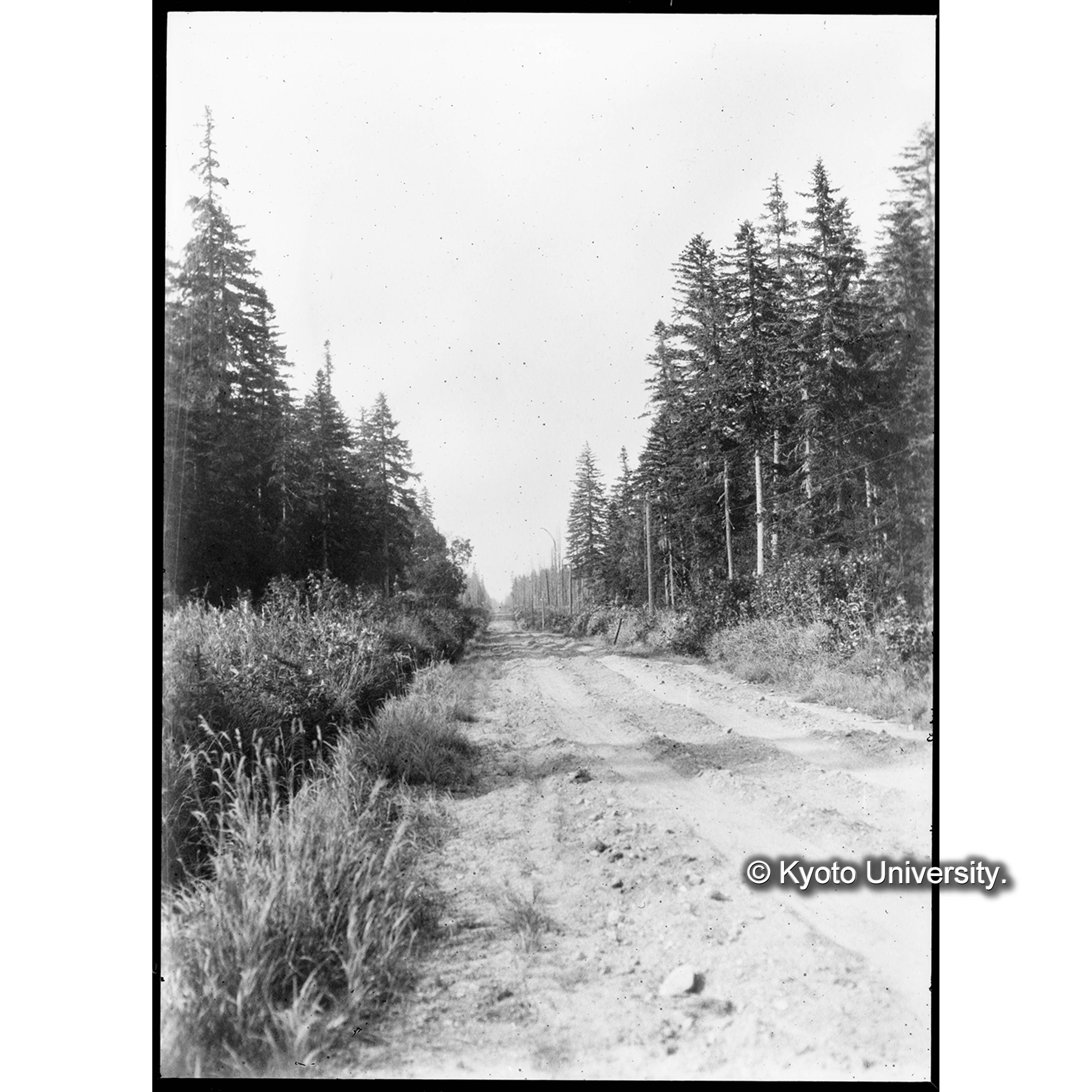 樺太保恵における国境への道 (1)