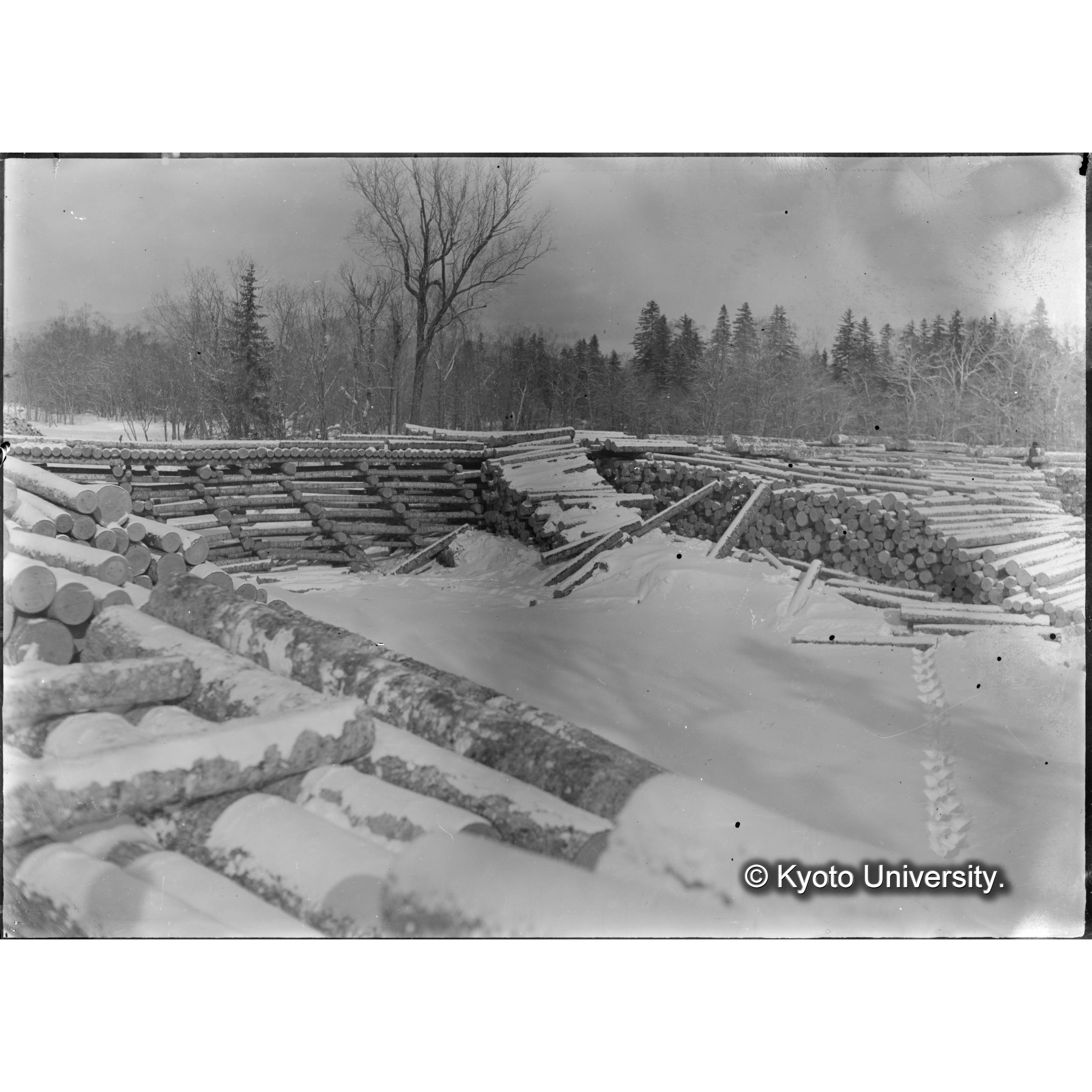 古丹岸川氷雪上の貯木(楠山作業所上) (1)