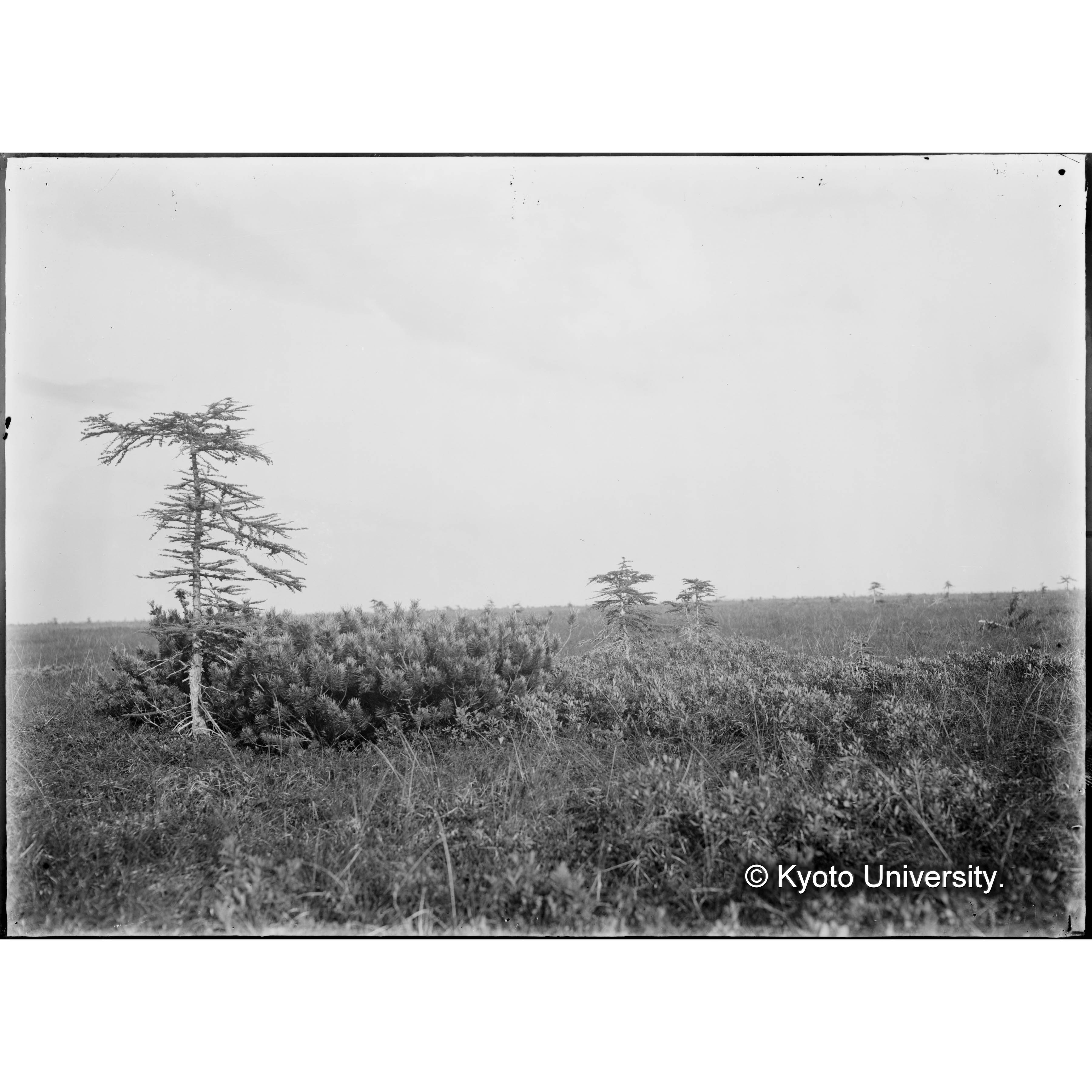 （ガラス乾板樺太1-04） (1)