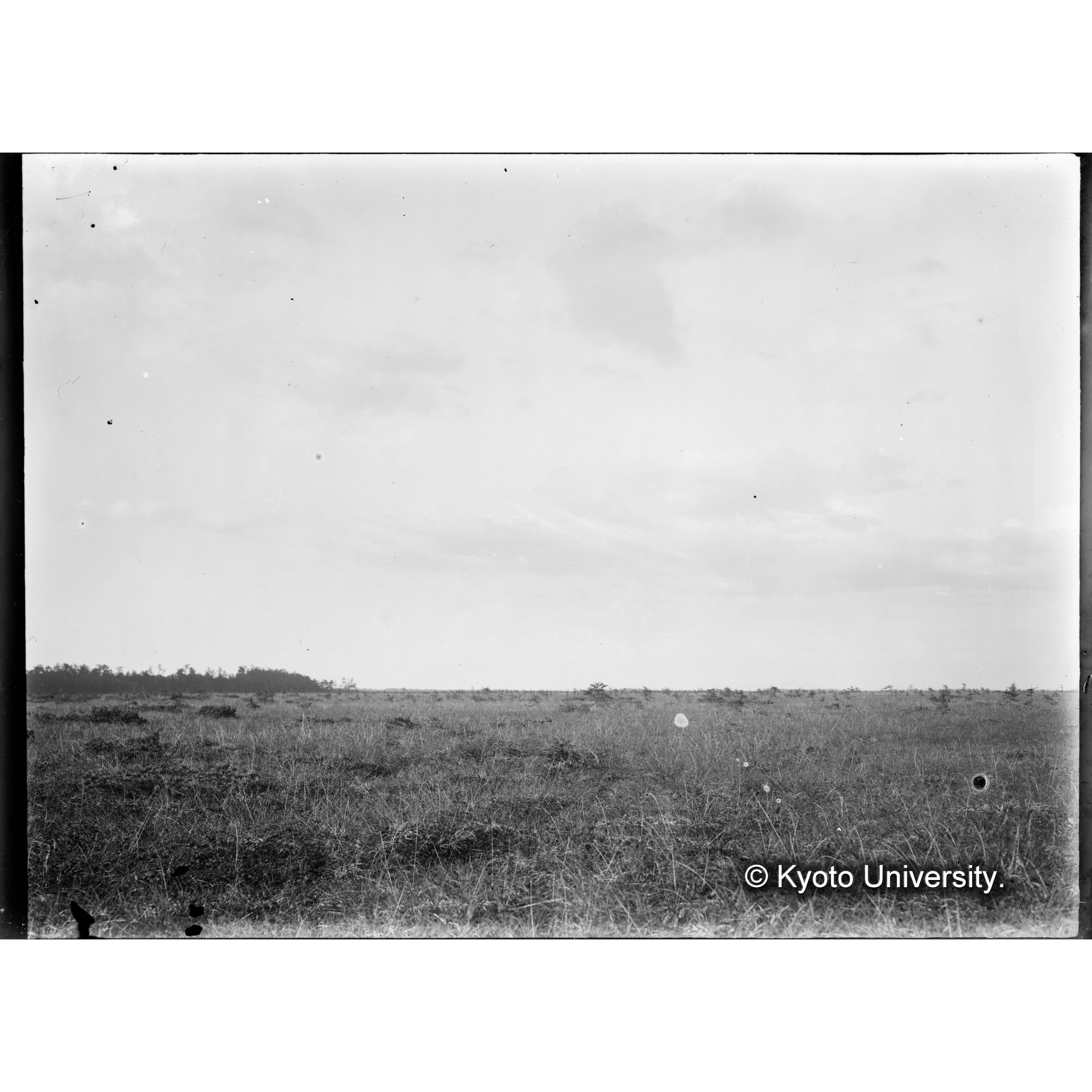 （ガラス乾板樺太1-06） (1)