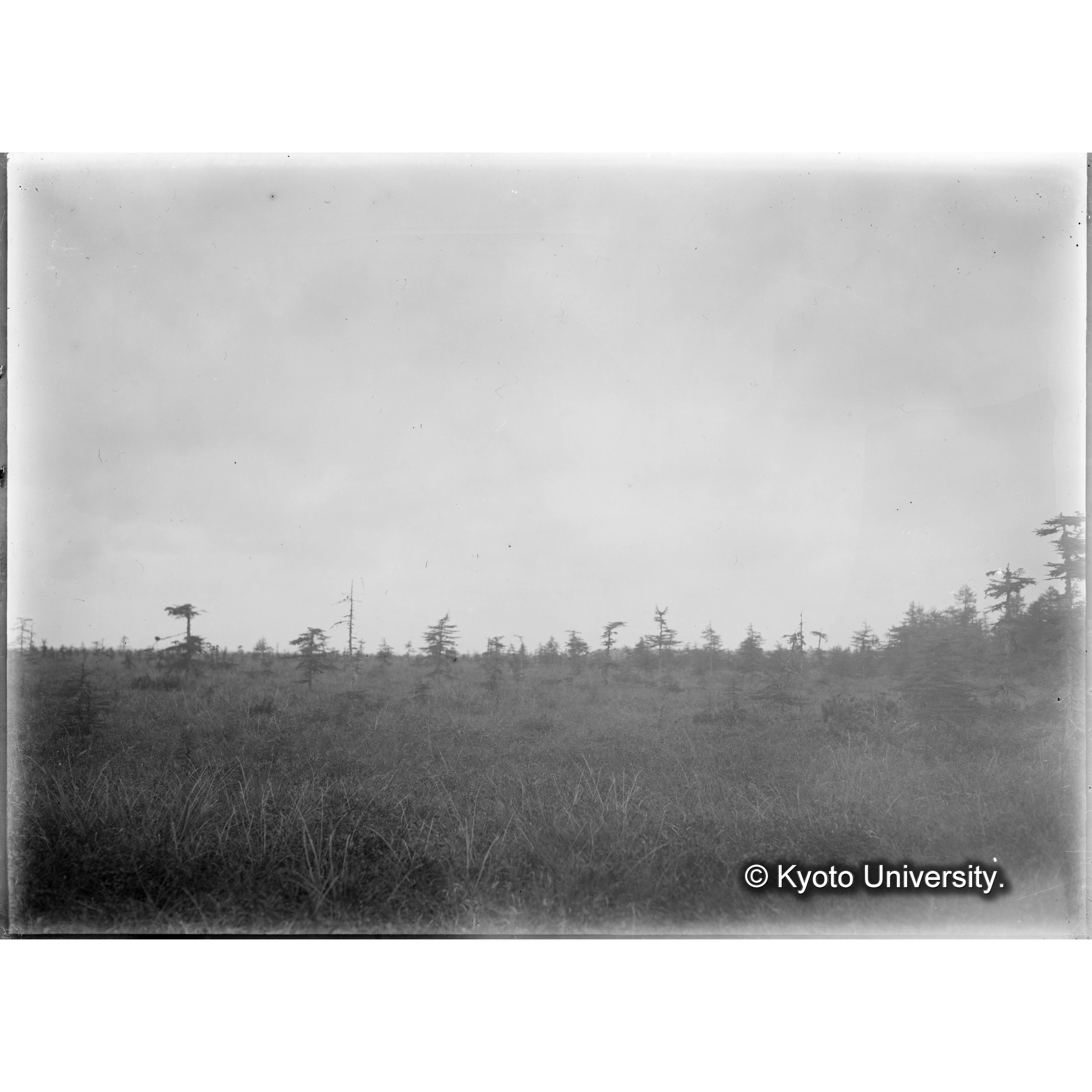 （ガラス乾板樺太1-08） (1)