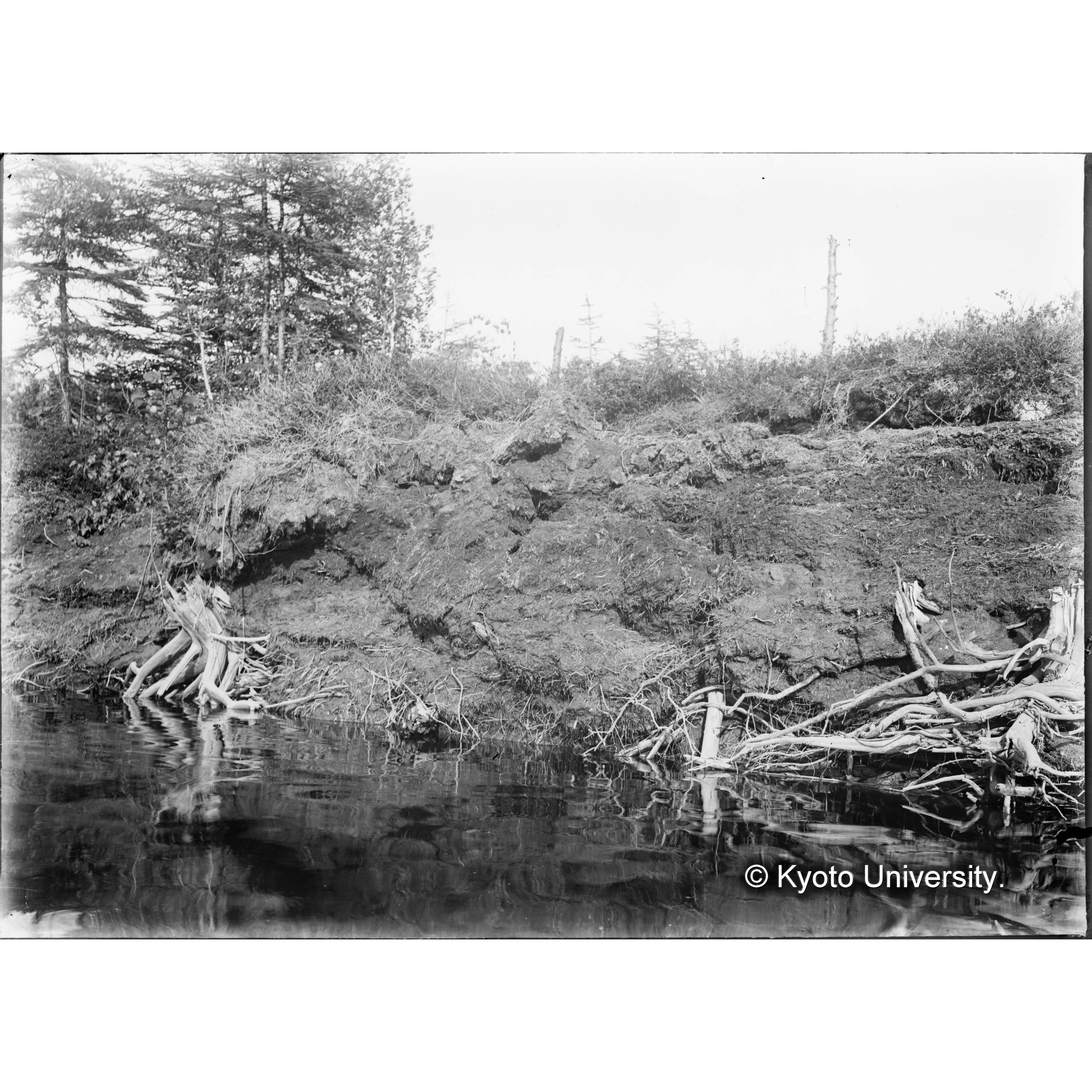 （ガラス乾板樺太1-11） (1)