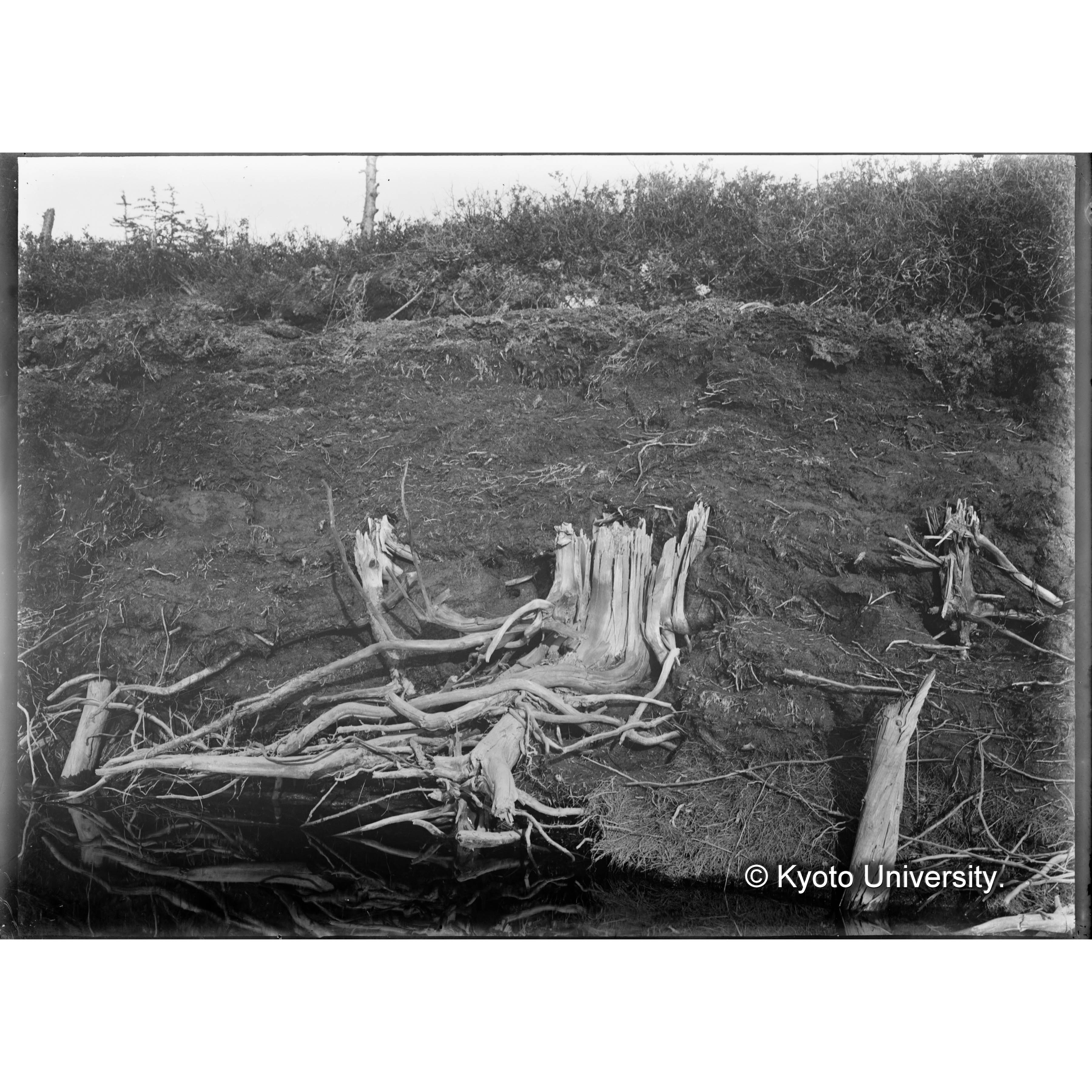 （ガラス乾板樺太1-12） (1)