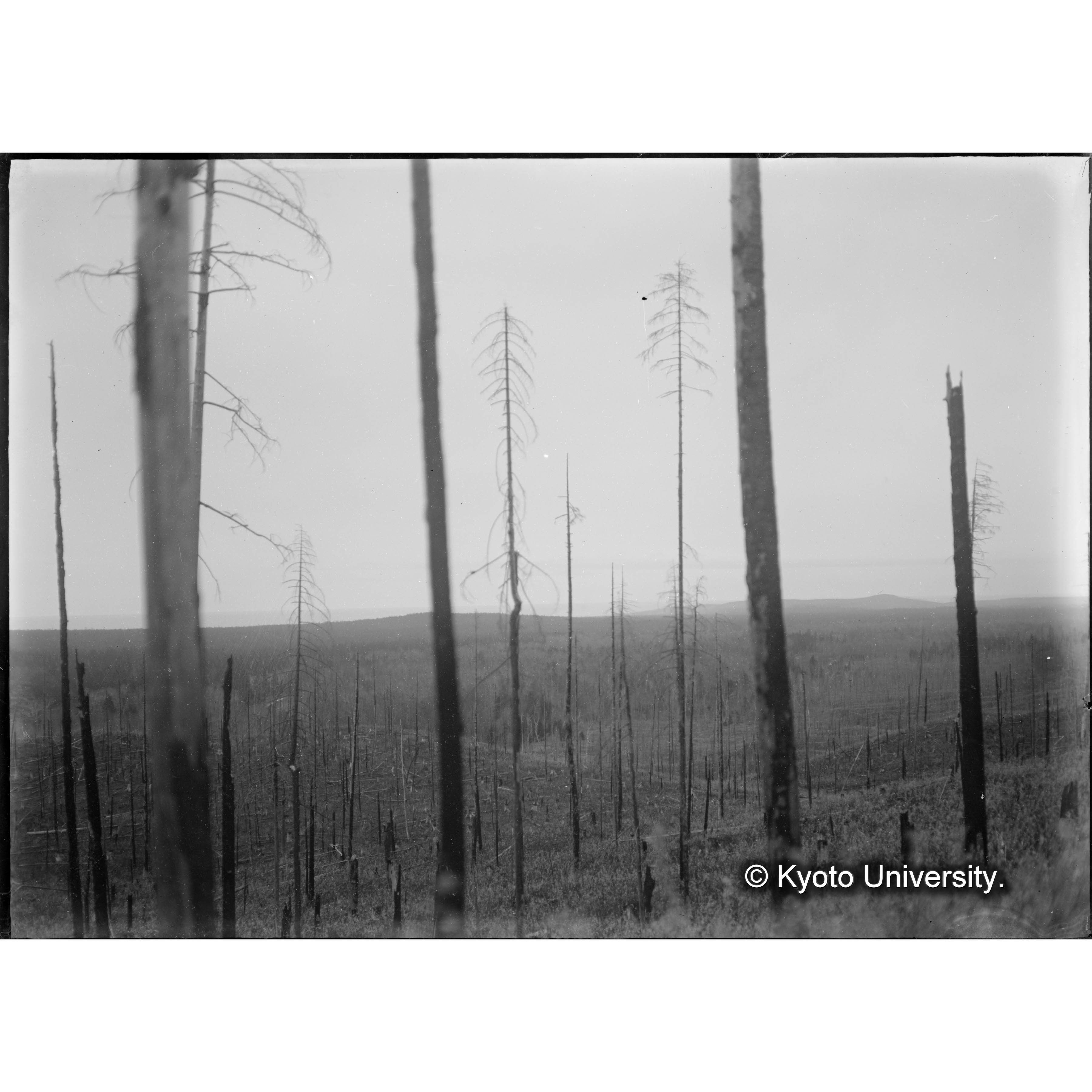 （ガラス乾板樺太2-05） (1)