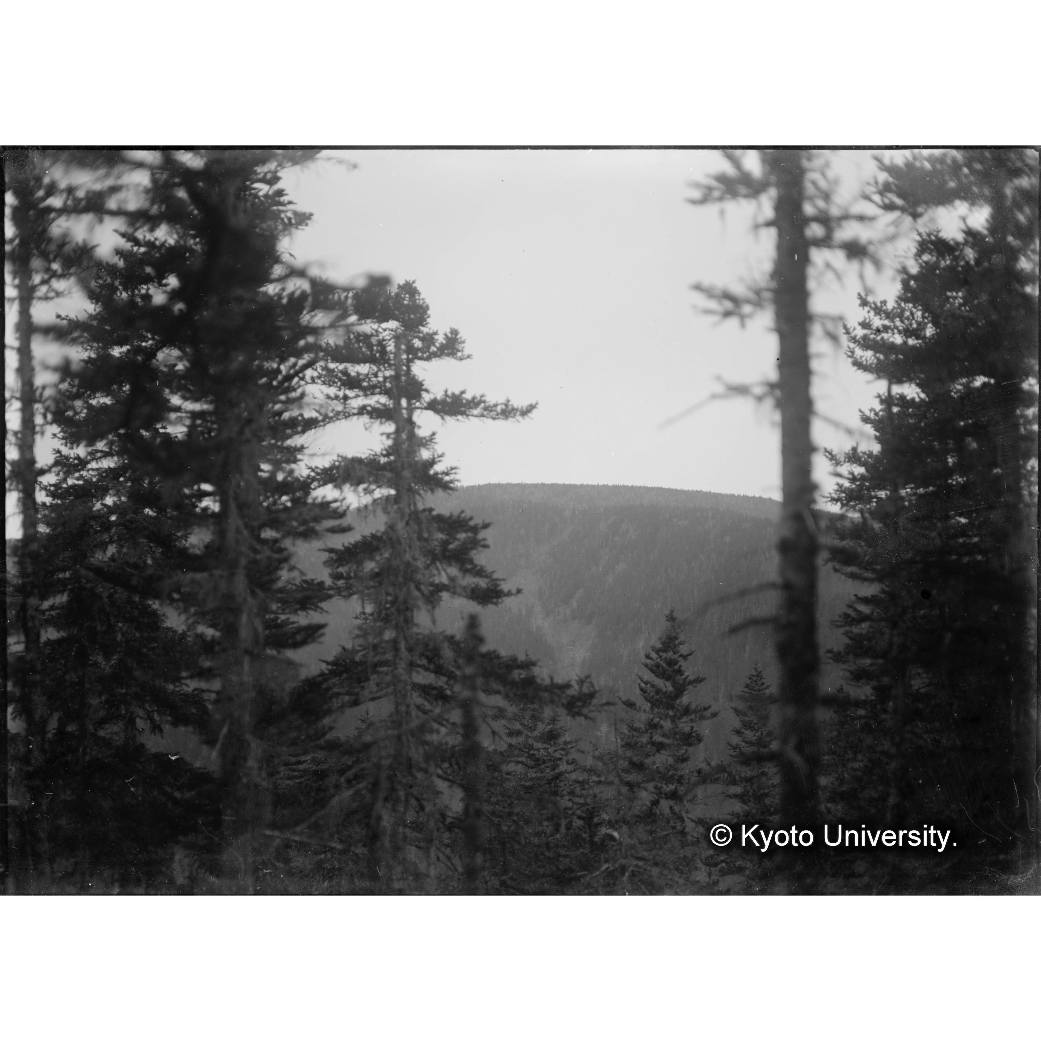 （ガラス乾板樺太2-08） (1)