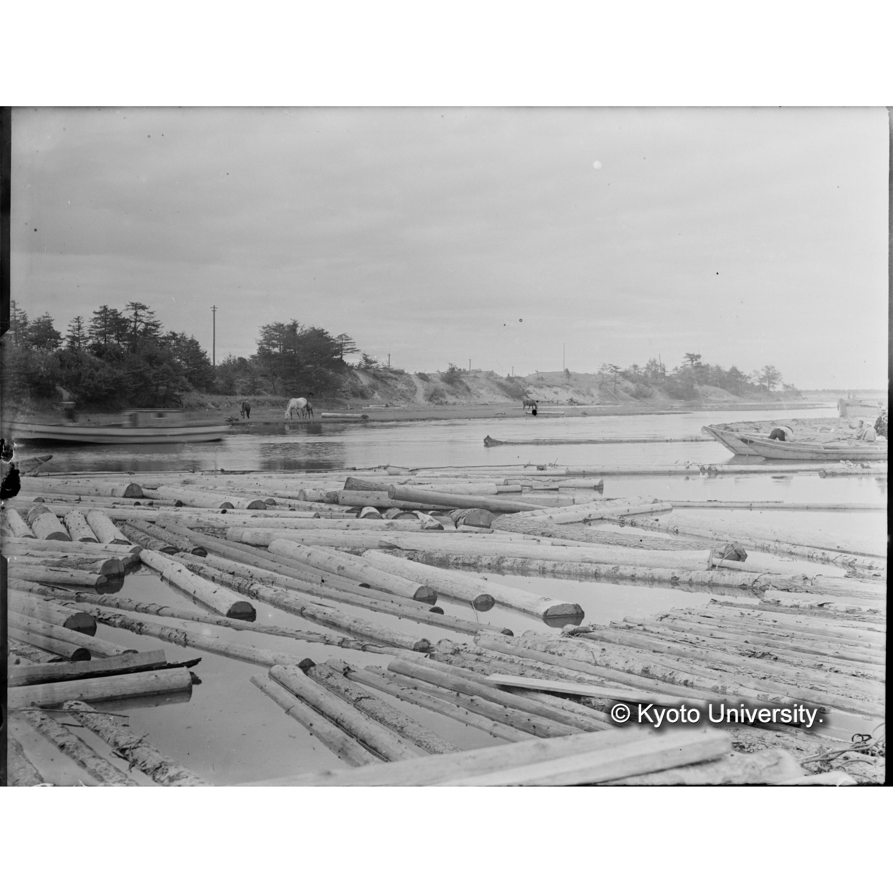 ポロナイ河貯木池(公園附近) (1)