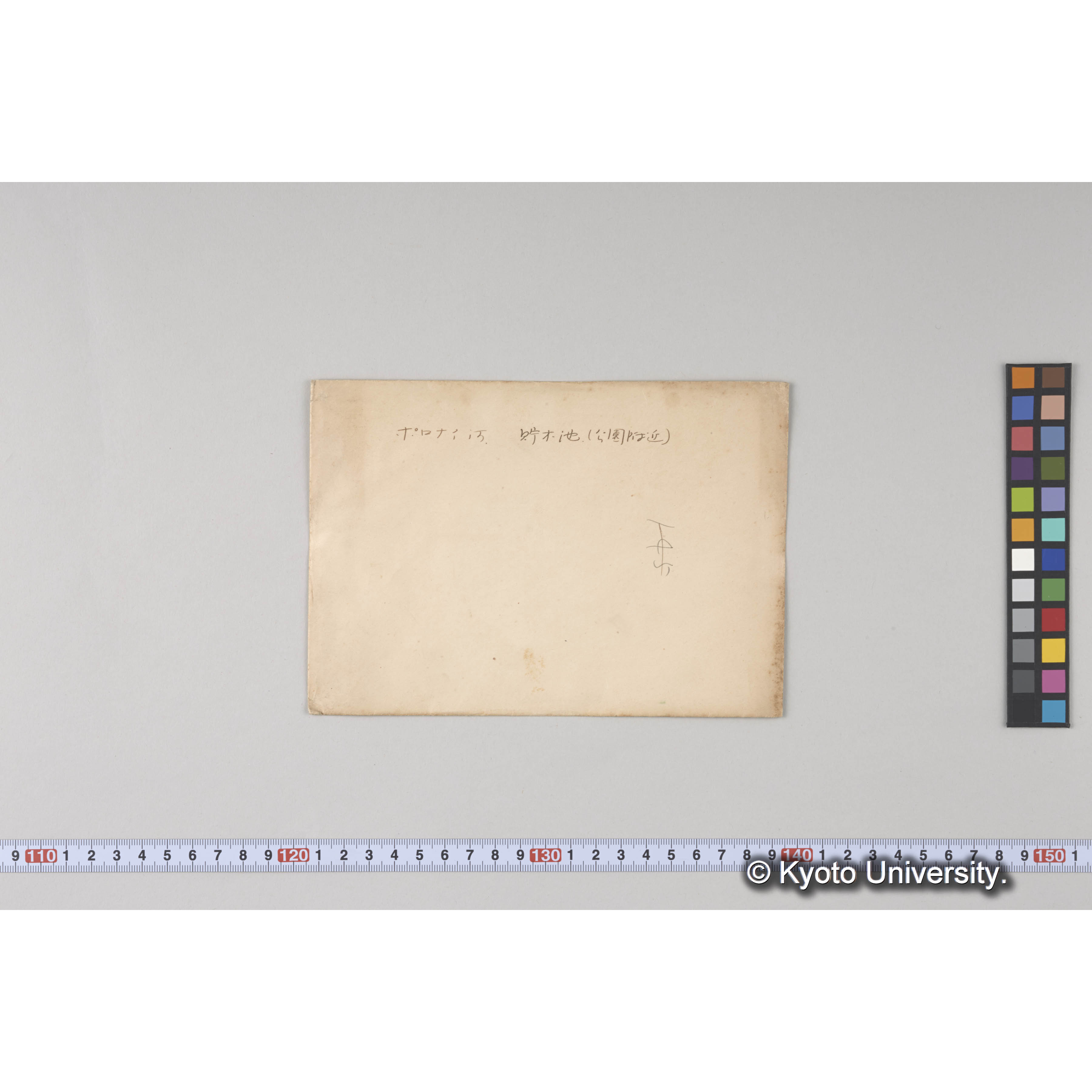 ポロナイ河貯木池(公園附近) (2)