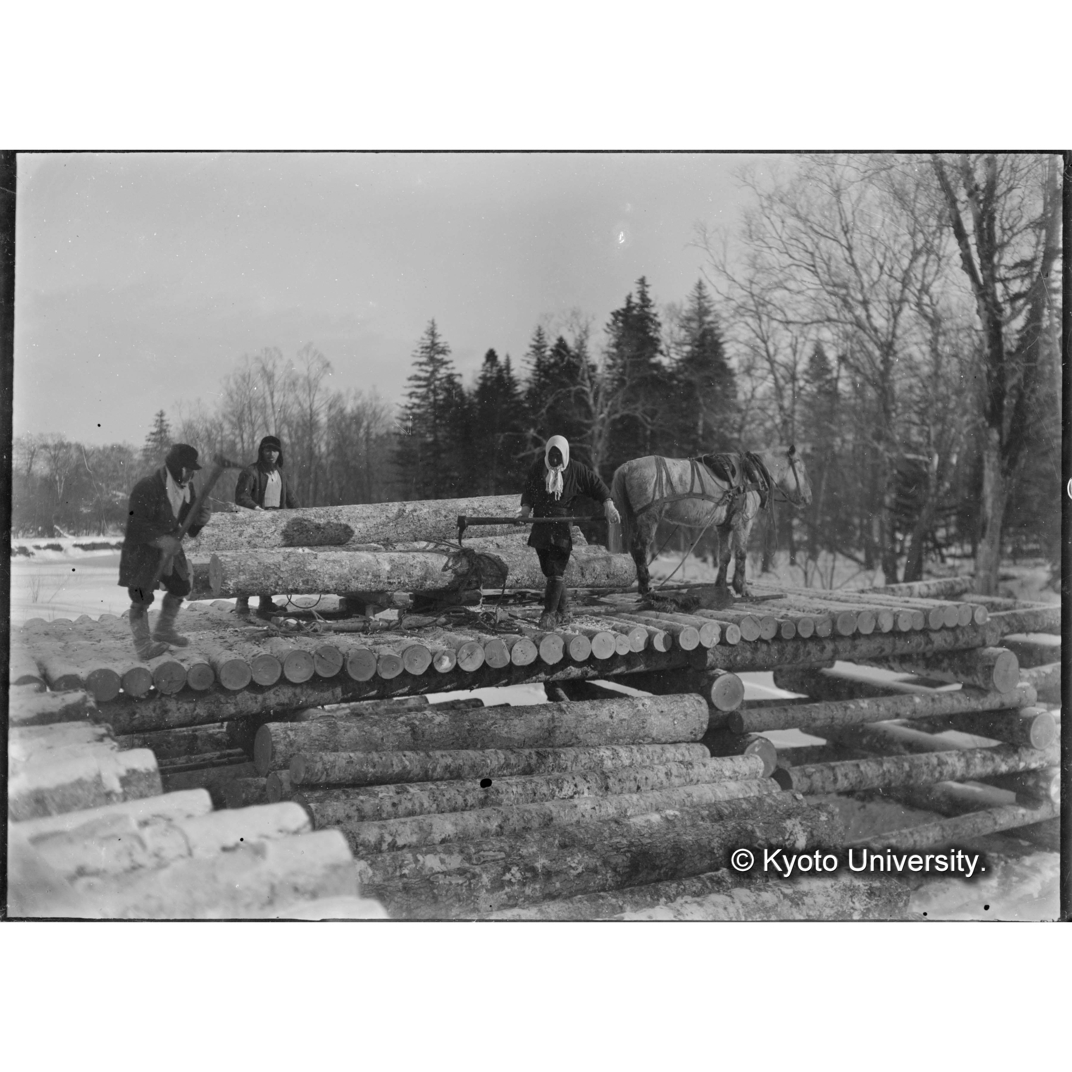 馬橇にて運材の状況 (1)