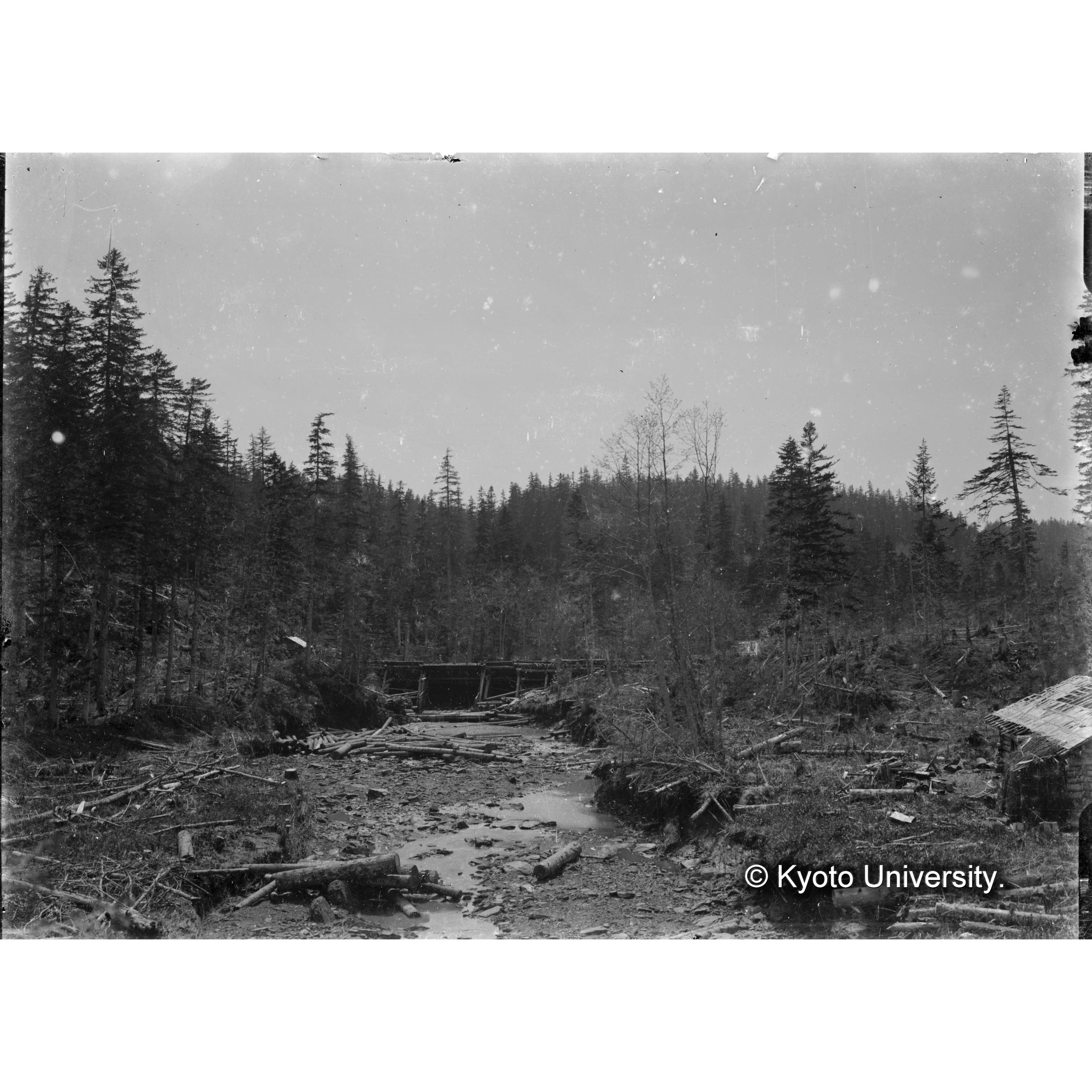 テッポー堰、河岸を破壊 (1)