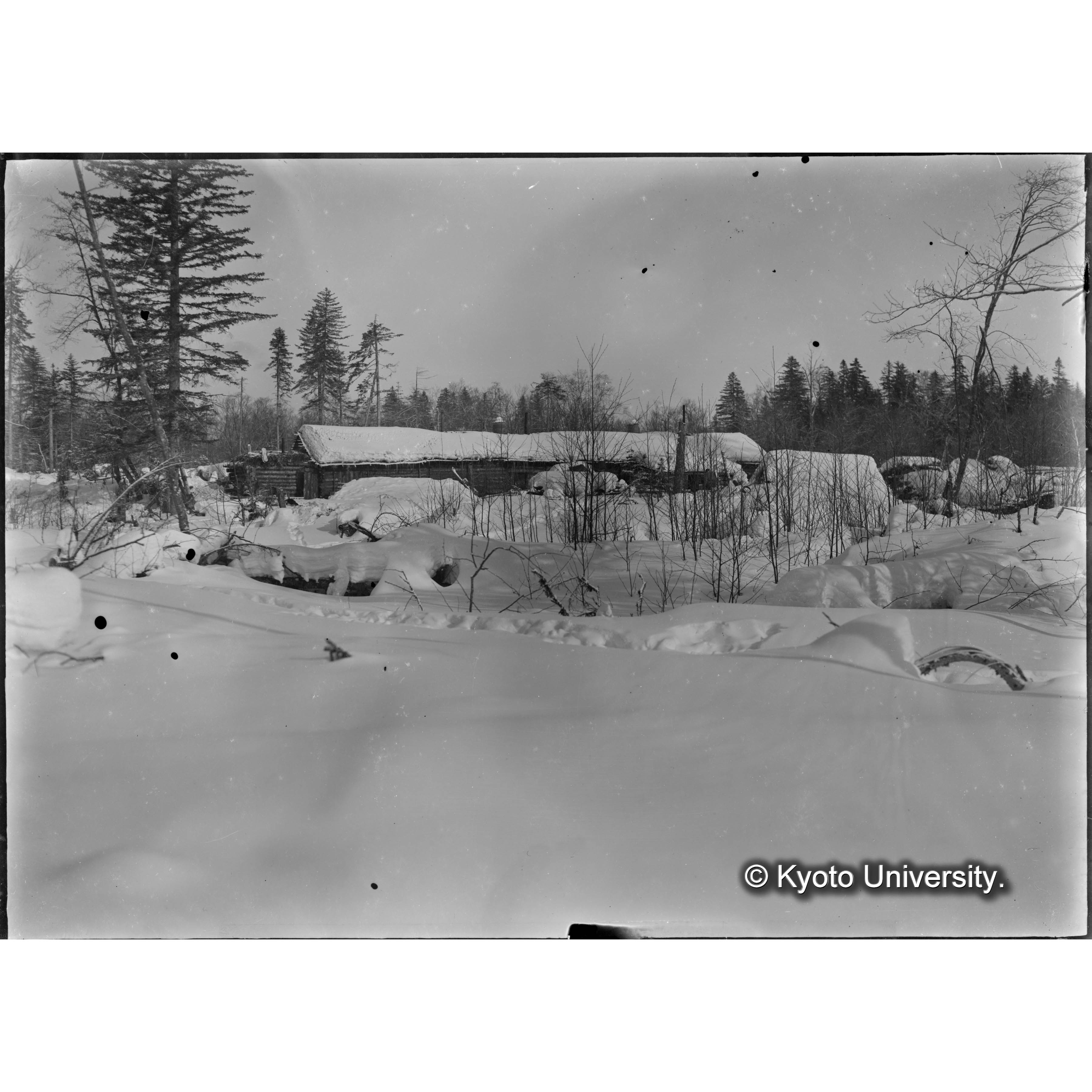 樺太演習林内伐木人夫小屋 (1)