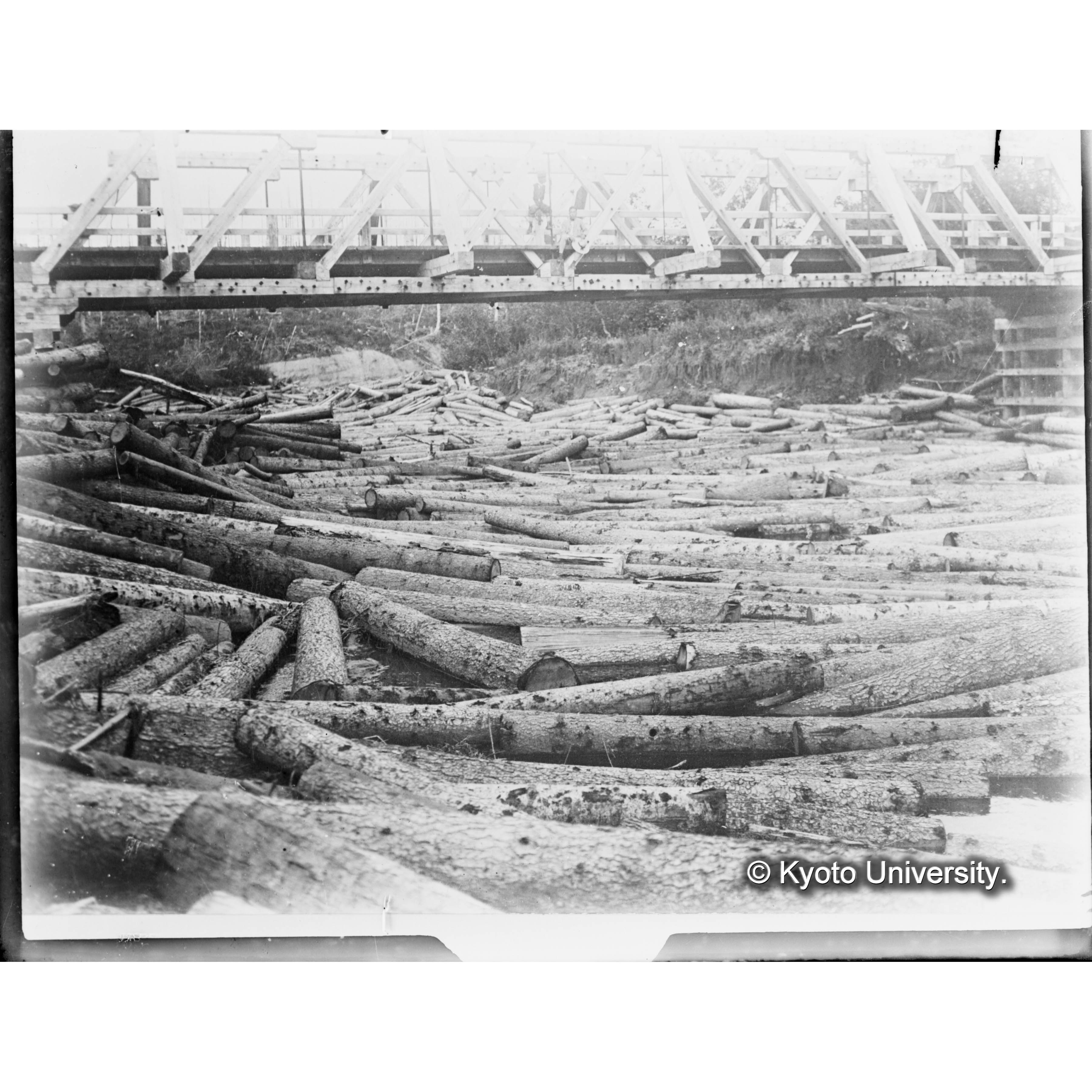 （ガラス乾板樺太6-06） (1)