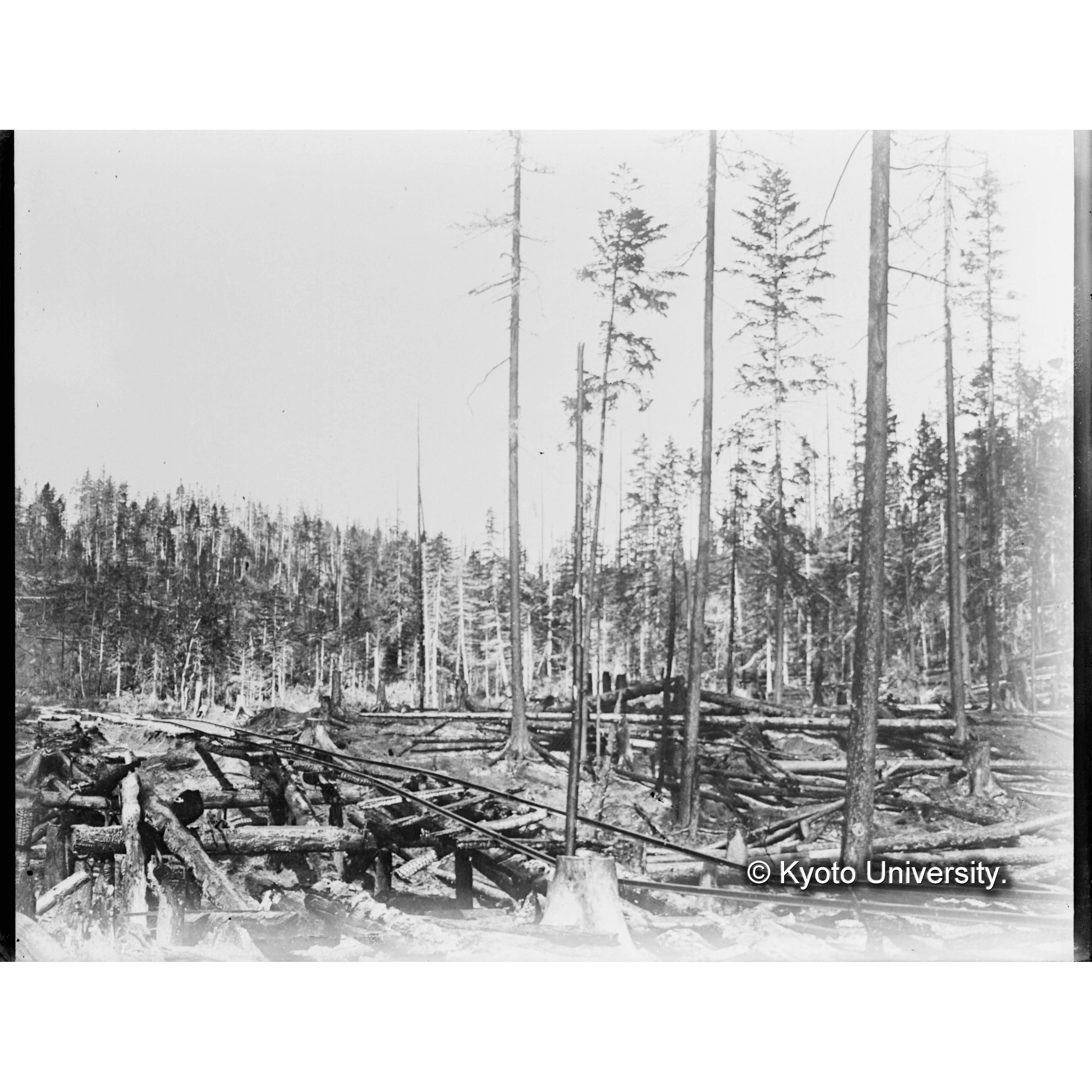 （ガラス乾板樺太6-07） (1)