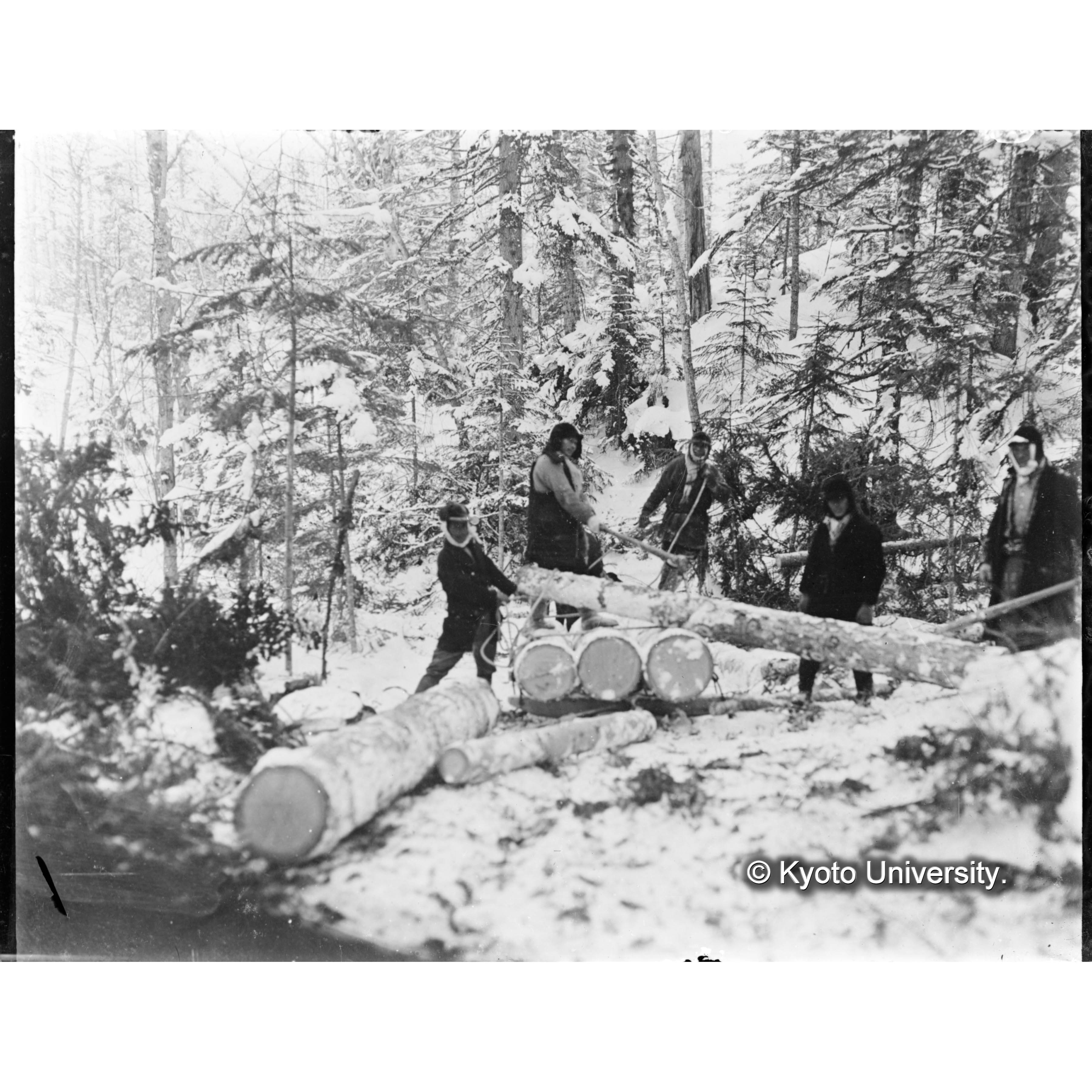 〔冬季の雪橇運材（藤本川流域）〕 (1)