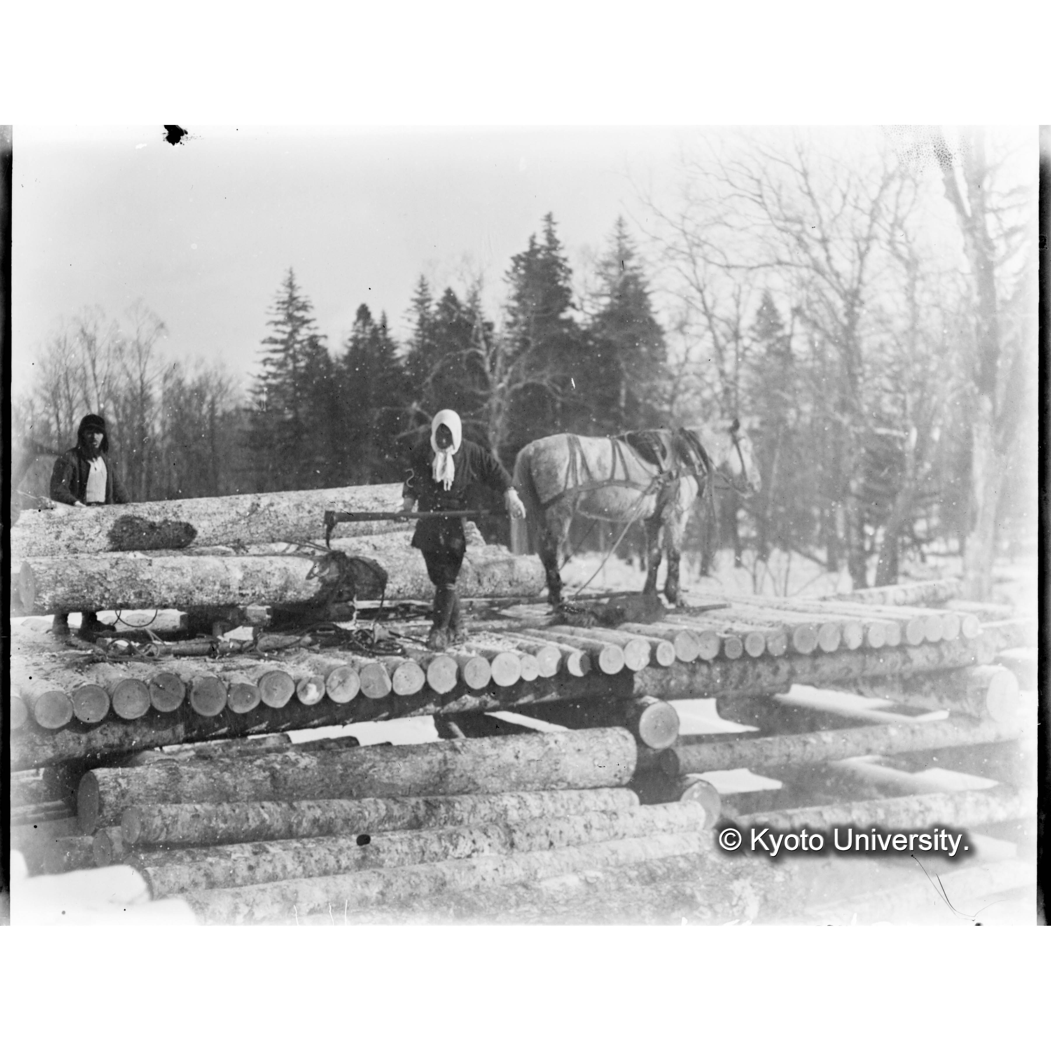 （ガラス乾板樺太6-10） (1)