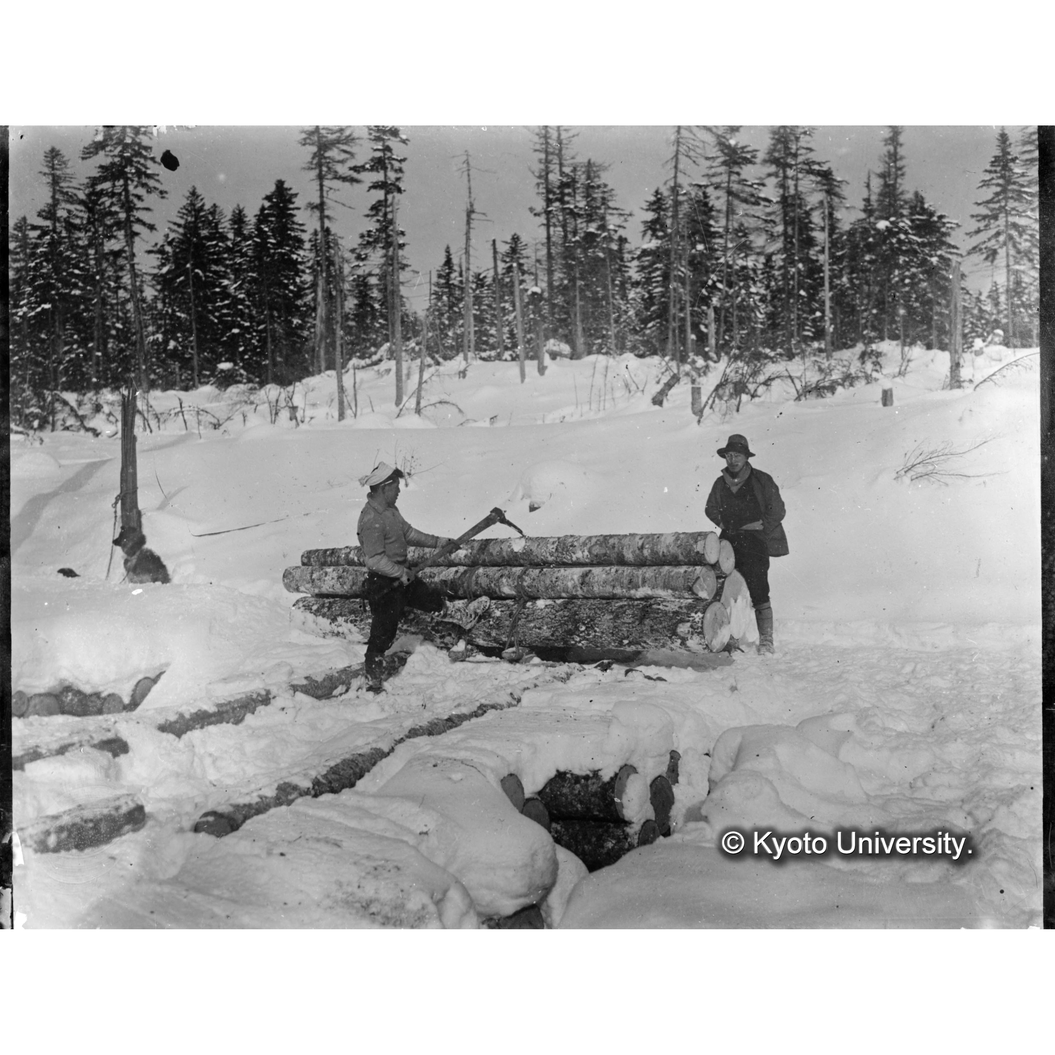 （ガラス乾板樺太6-11） (1)