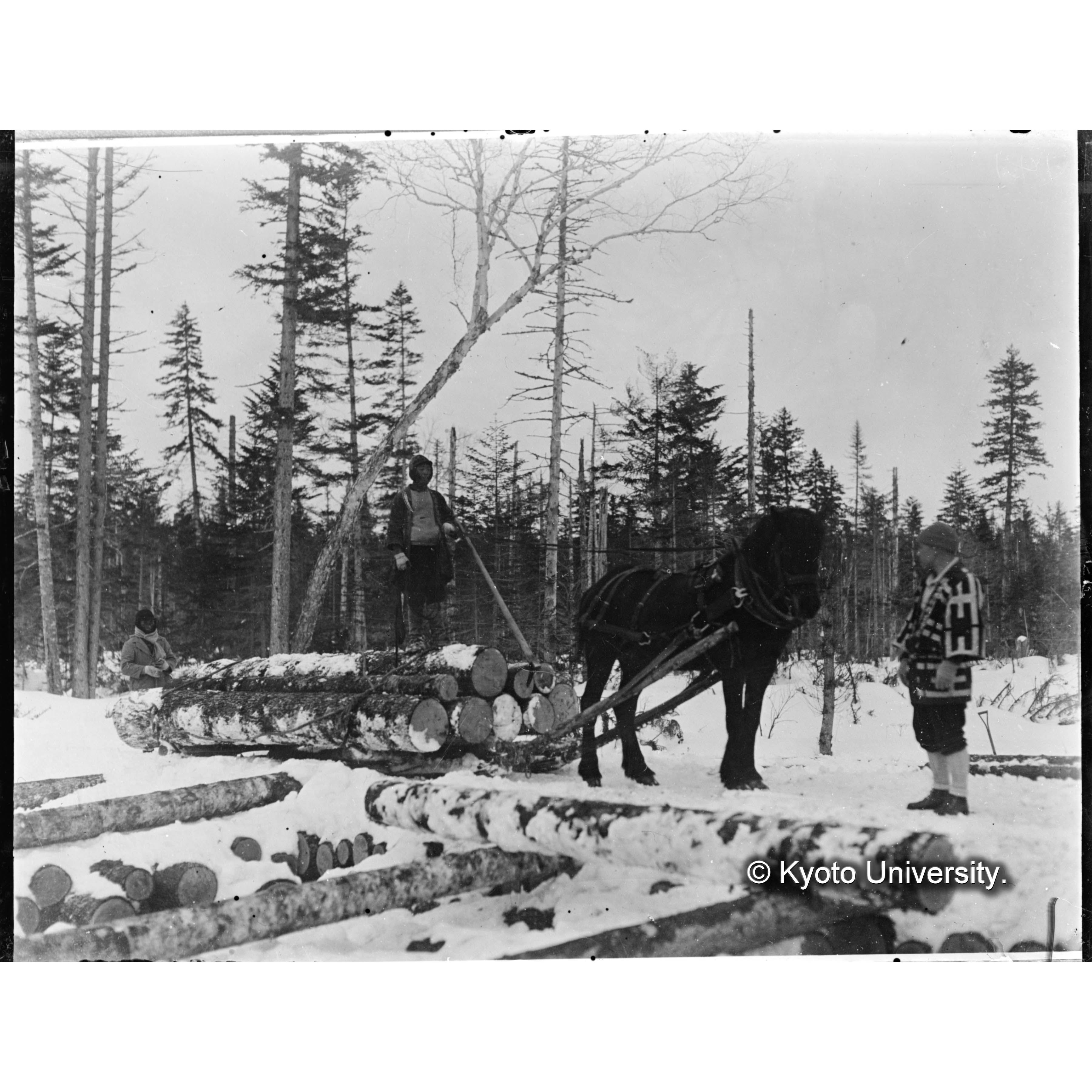 〔雪上の馬搬〕 (1)