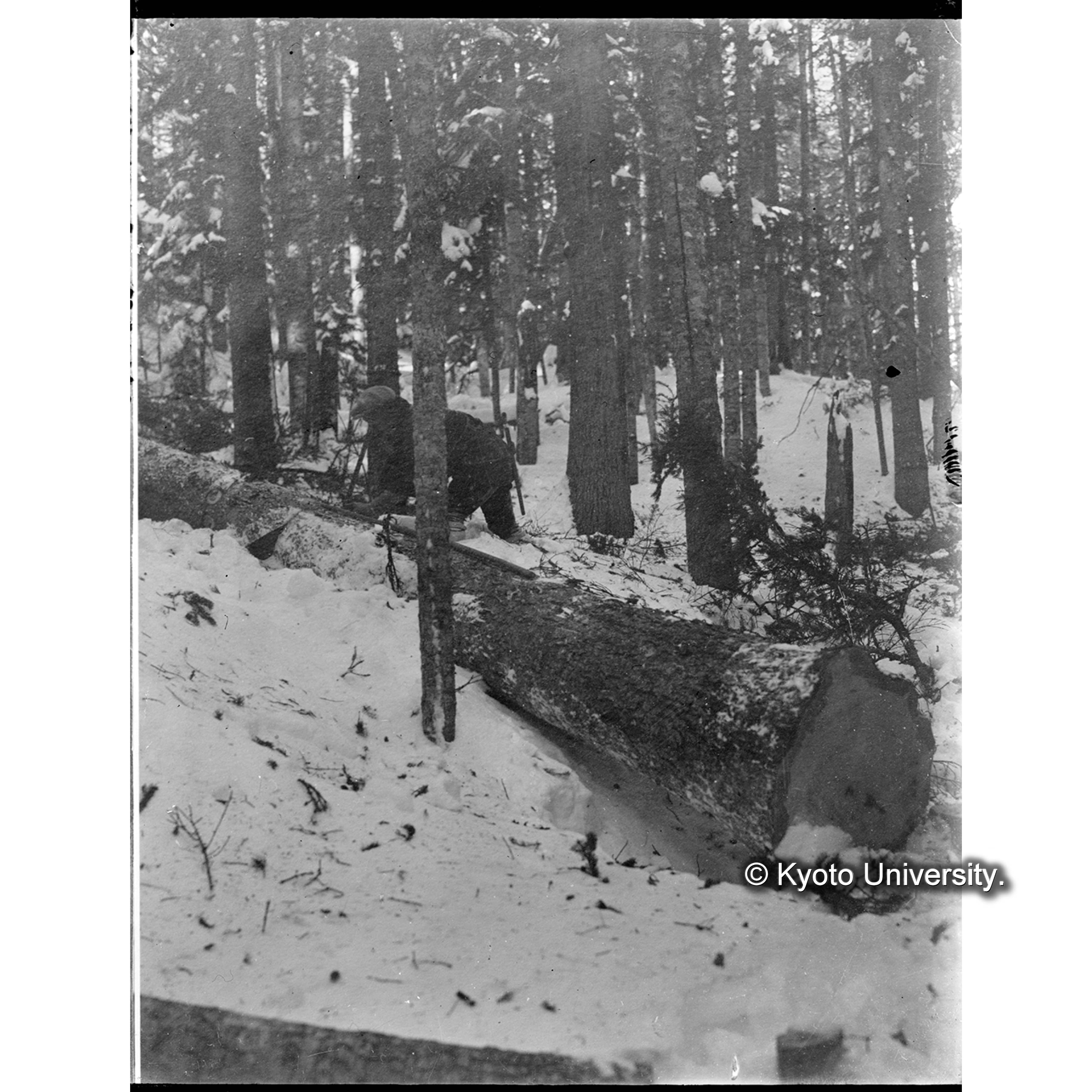 （ガラス乾板樺太6-13） (1)