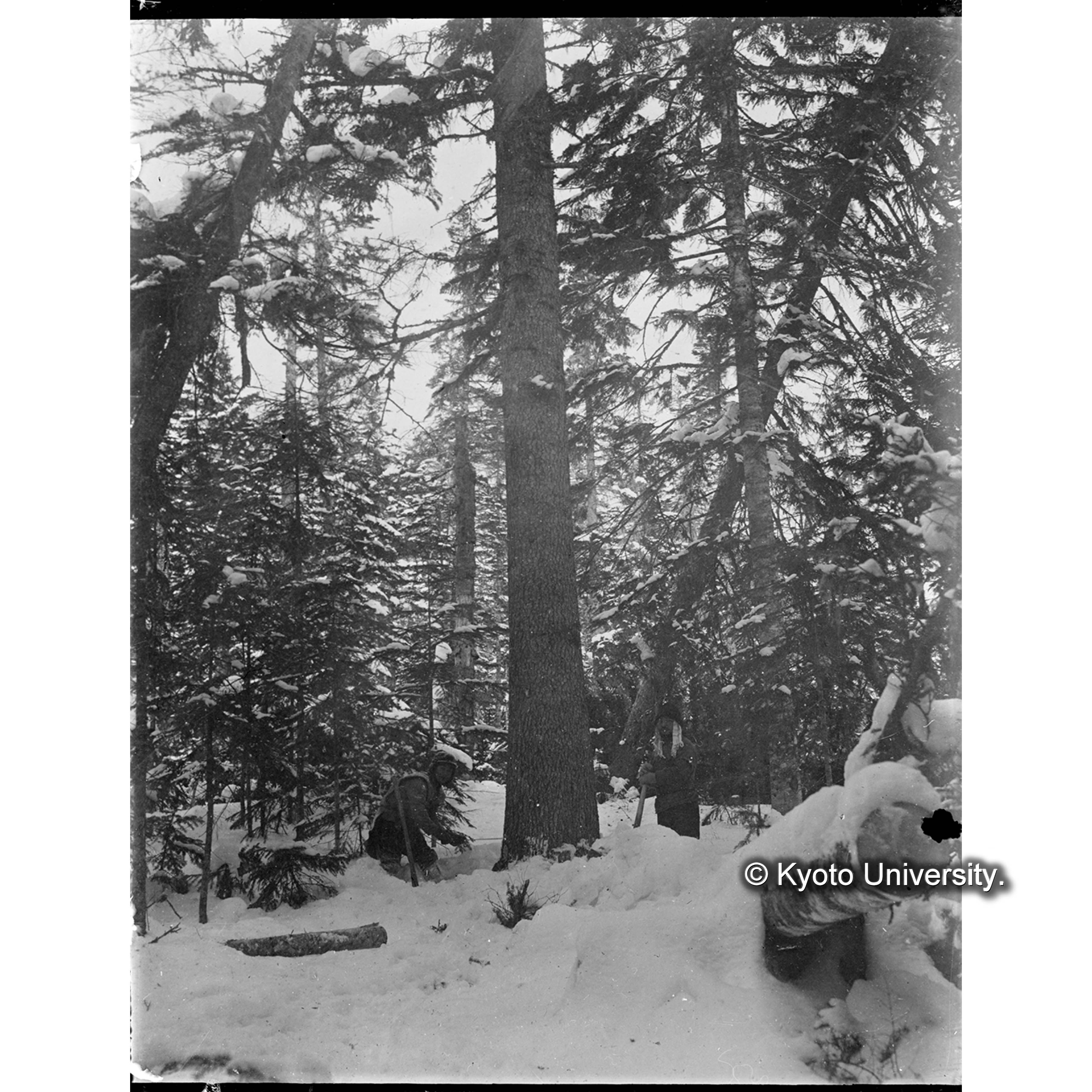 （ガラス乾板樺太6-14） (1)