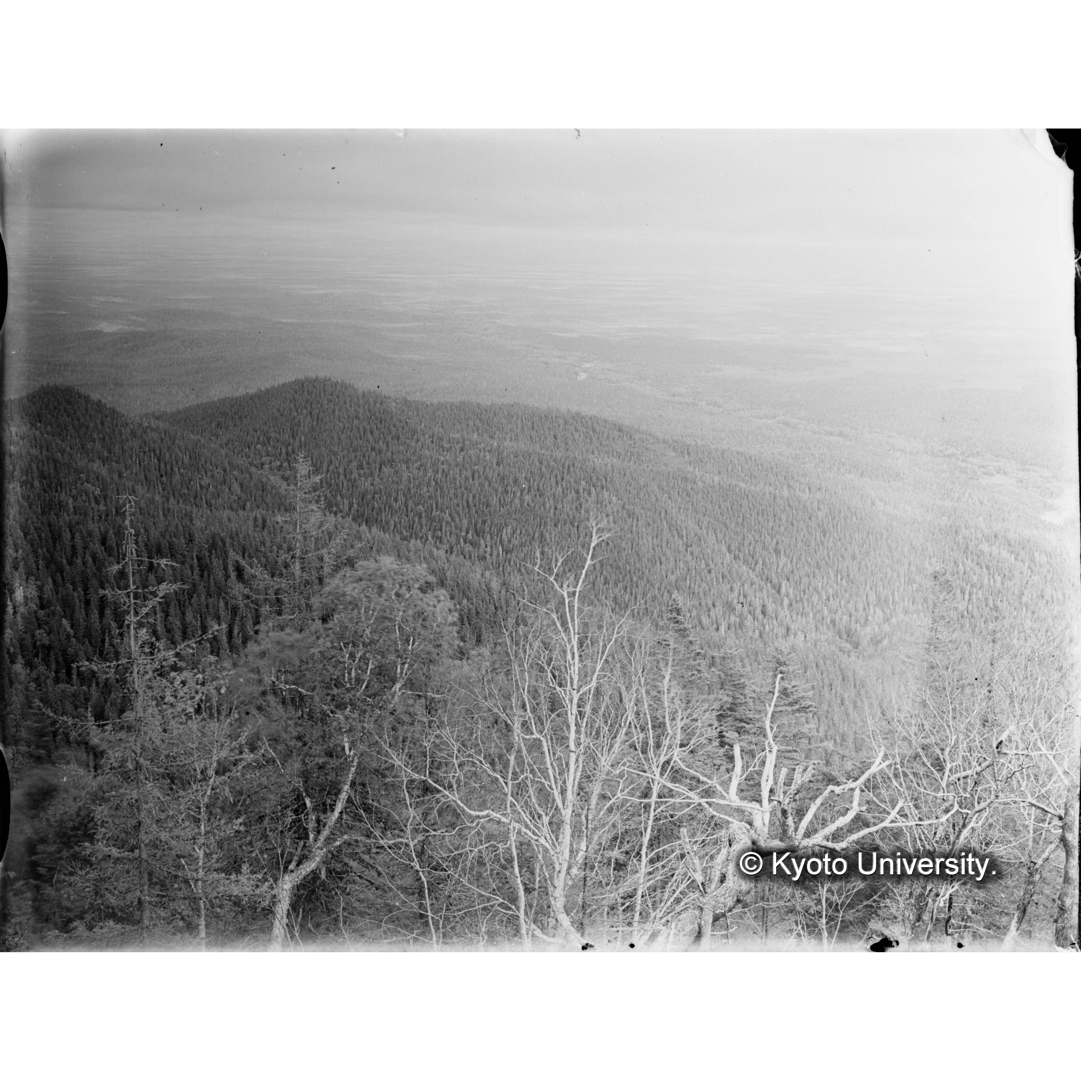 亜屯山焼跡地より一ノ沢、壁ノ沢、焼跡地を望む (1)