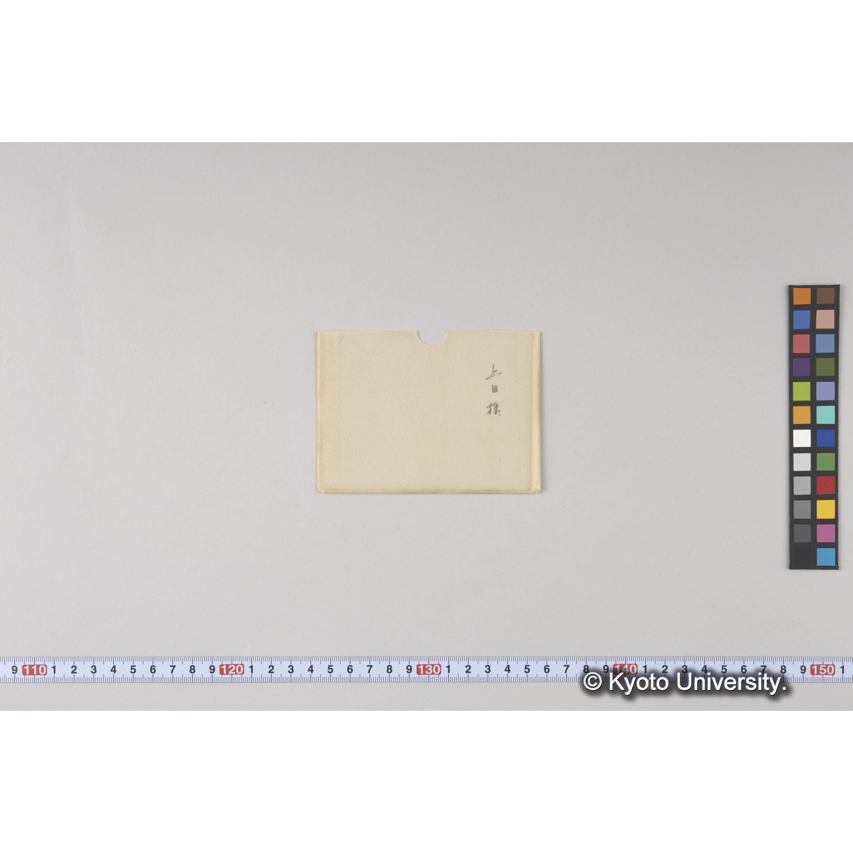 千輪山頂附近（海抜髙約900m）西北面　ハイマツ林帶にエゾマツ、トドマツ、ソウシカンバ散生 (2)