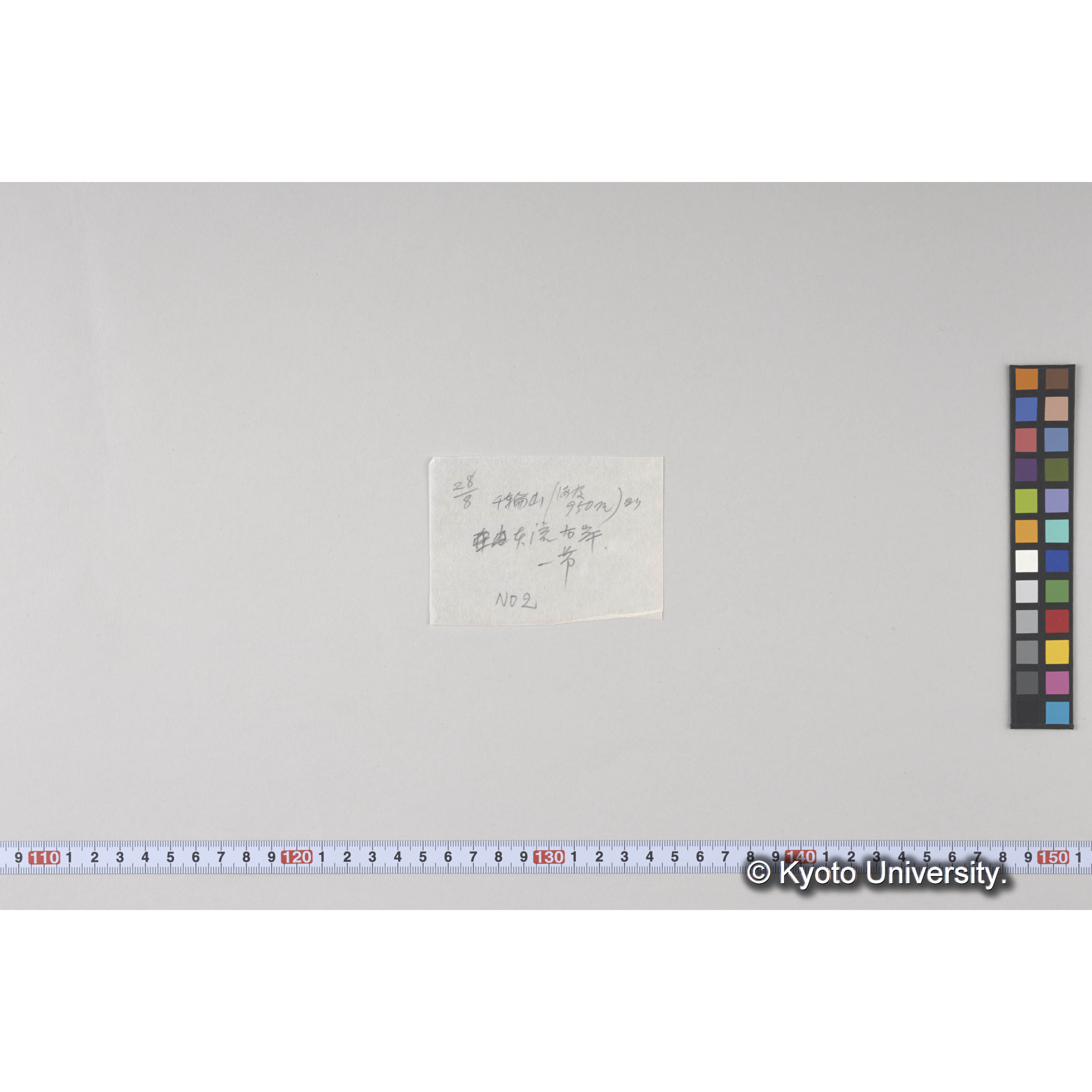 千輪山頂附近（海抜髙約900m）西北面　ハイマツ林帶にエゾマツ、トドマツ、ソウシカンバ散生 (3)