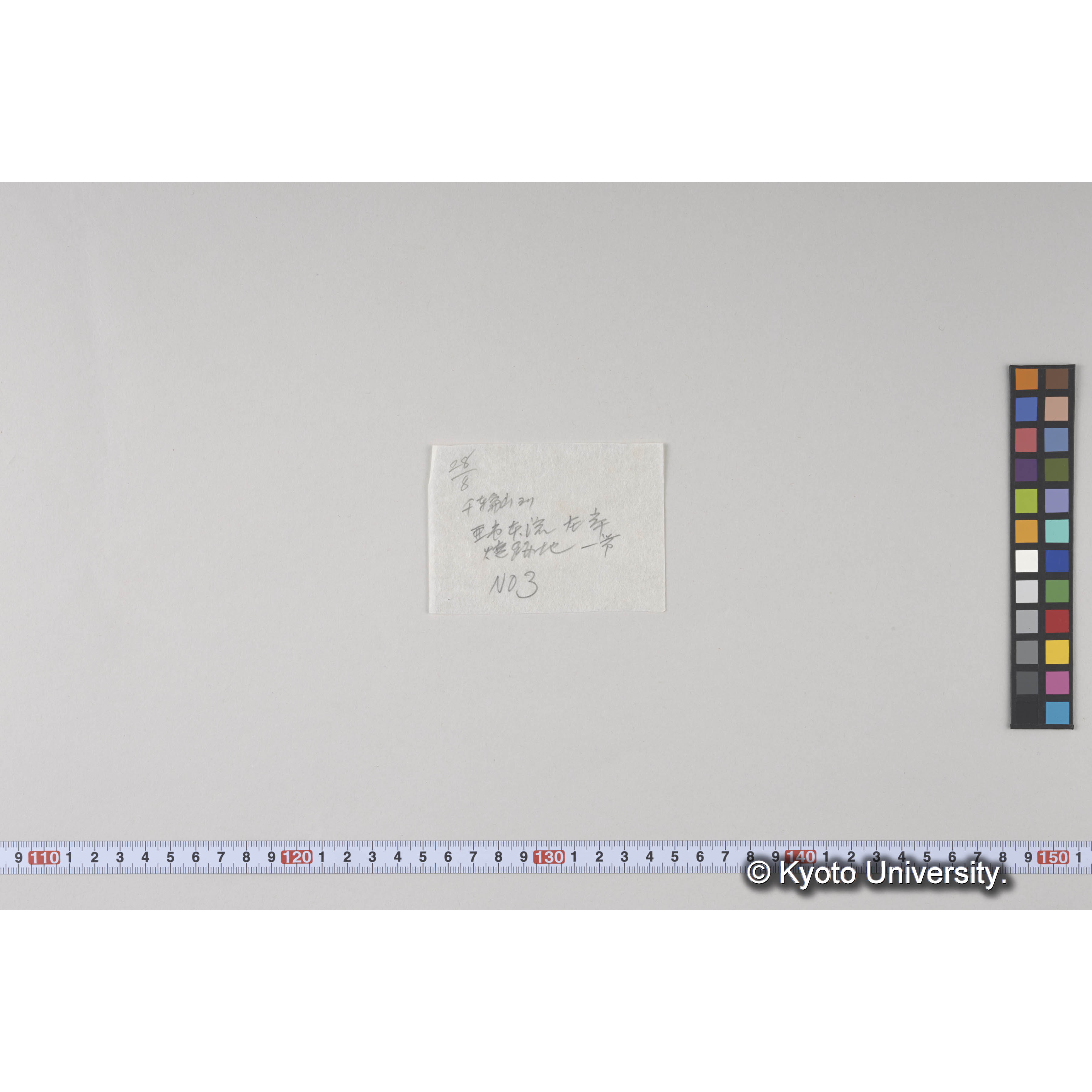 千輪山頂附近（海抜髙約900m）西北面　ハイマツ林帶にエゾマツ、トドマツ、ソウシカンバ散生 (4)